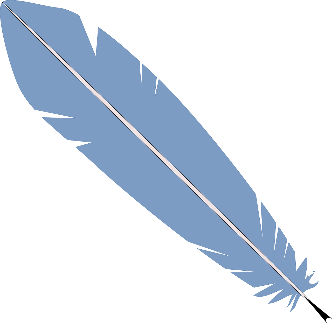 bird blue feather free photo