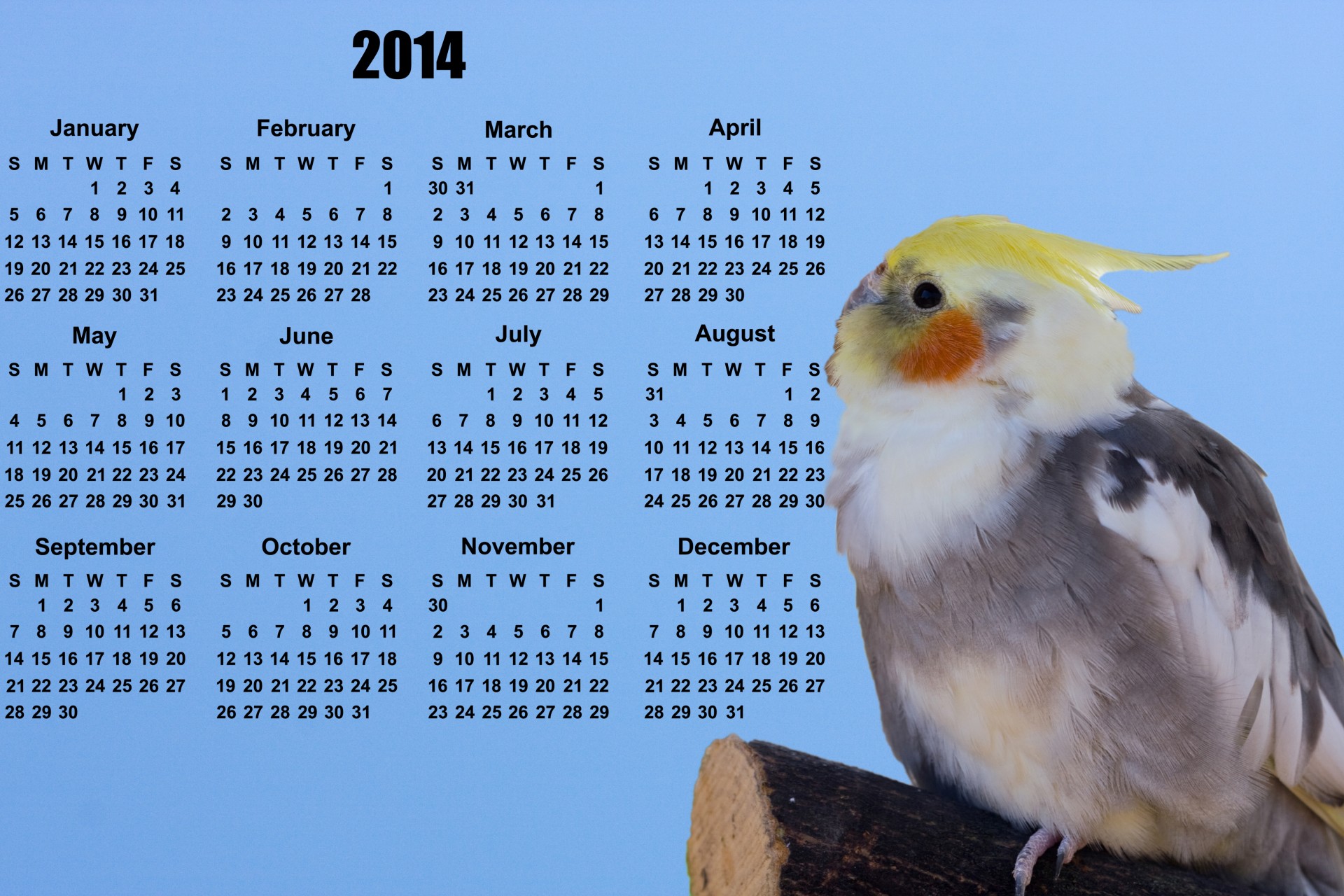 2014 calendar calendar 2014 free photo