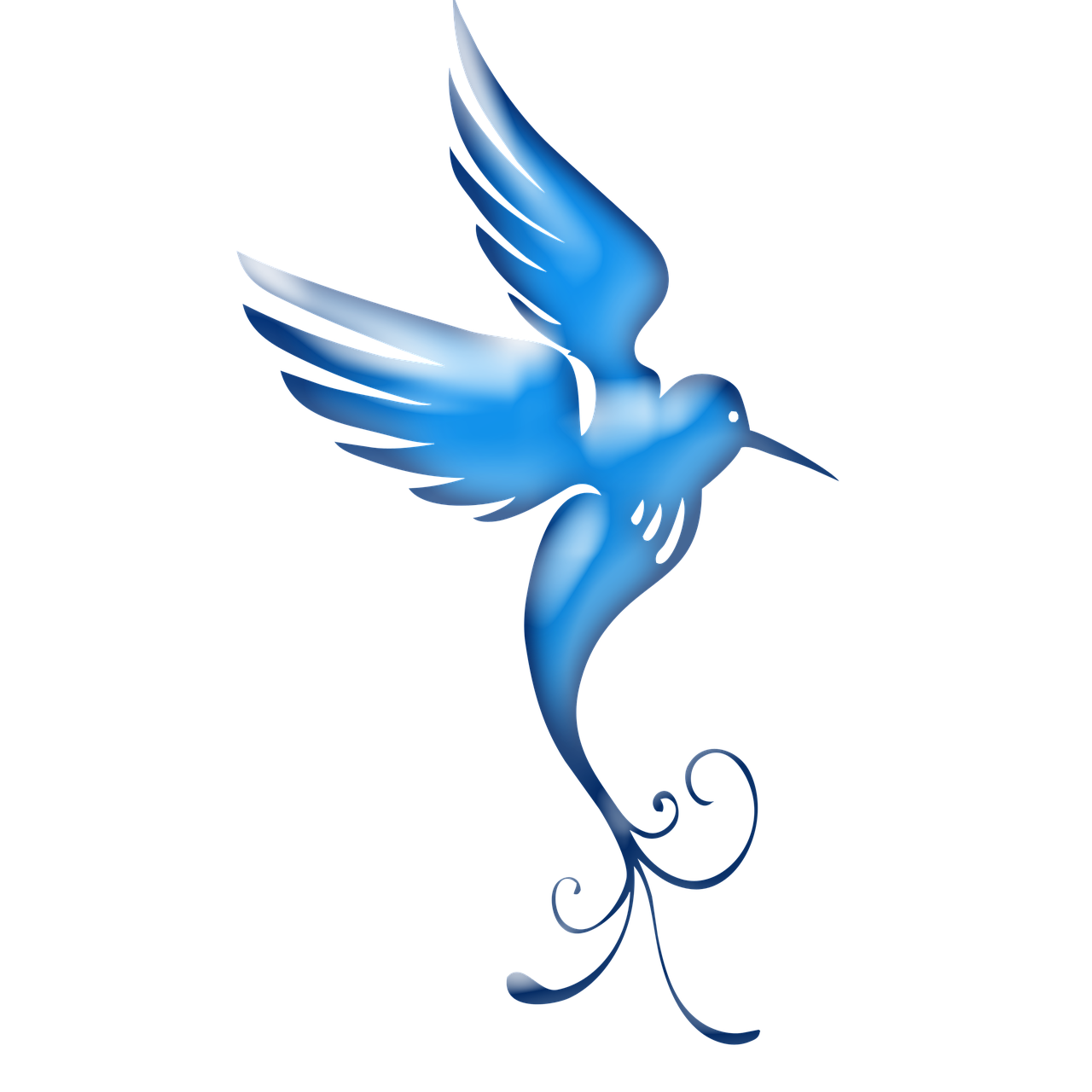 bird blue satin stylized free photo
