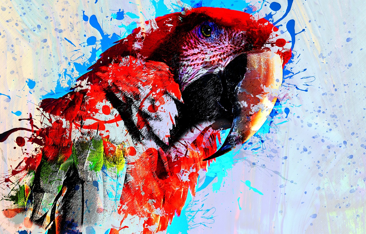 bird parrot animal free photo