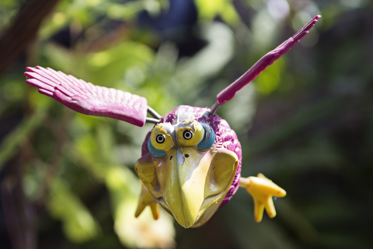 bird macro fly free photo