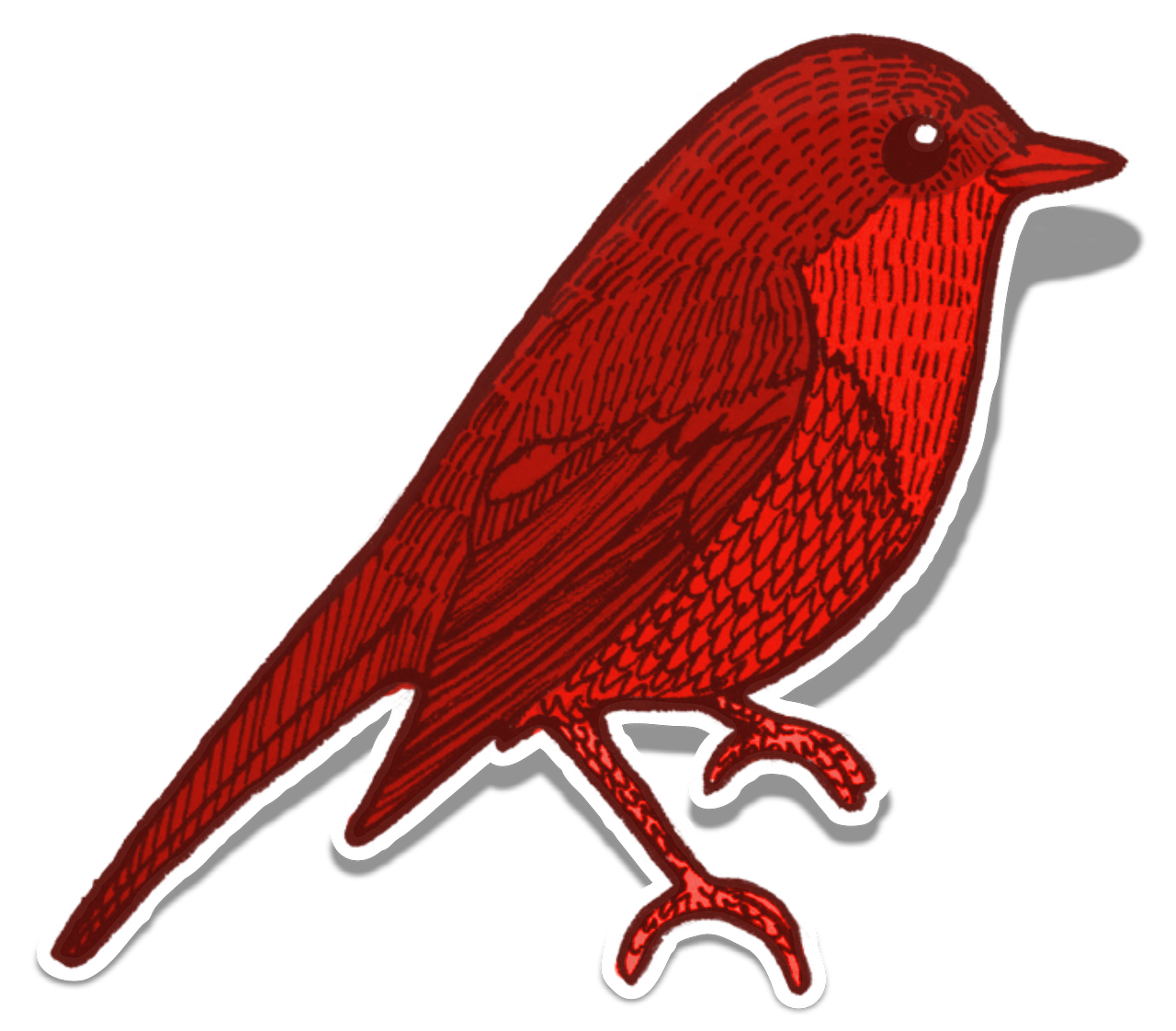 bird red element free photo