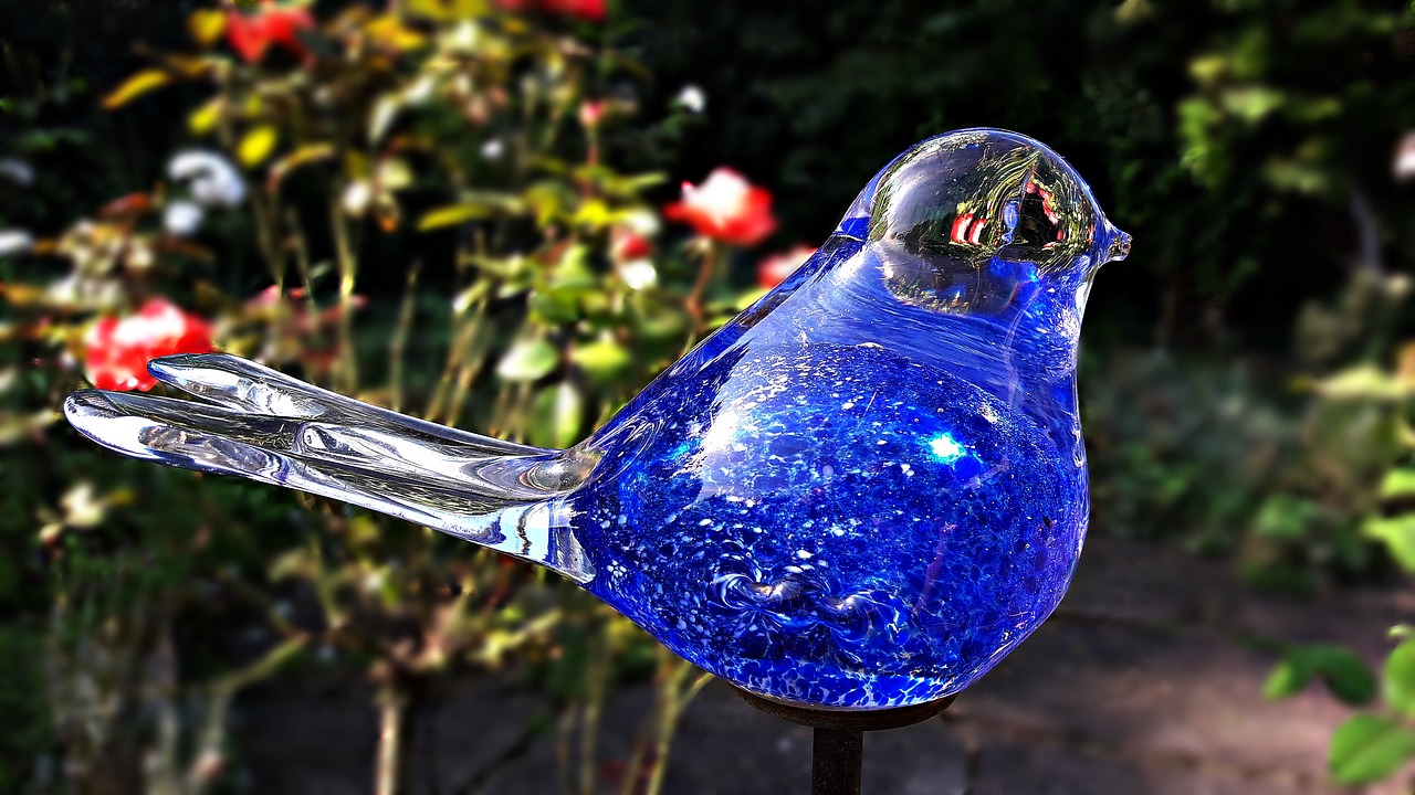 bird glass garden free photo