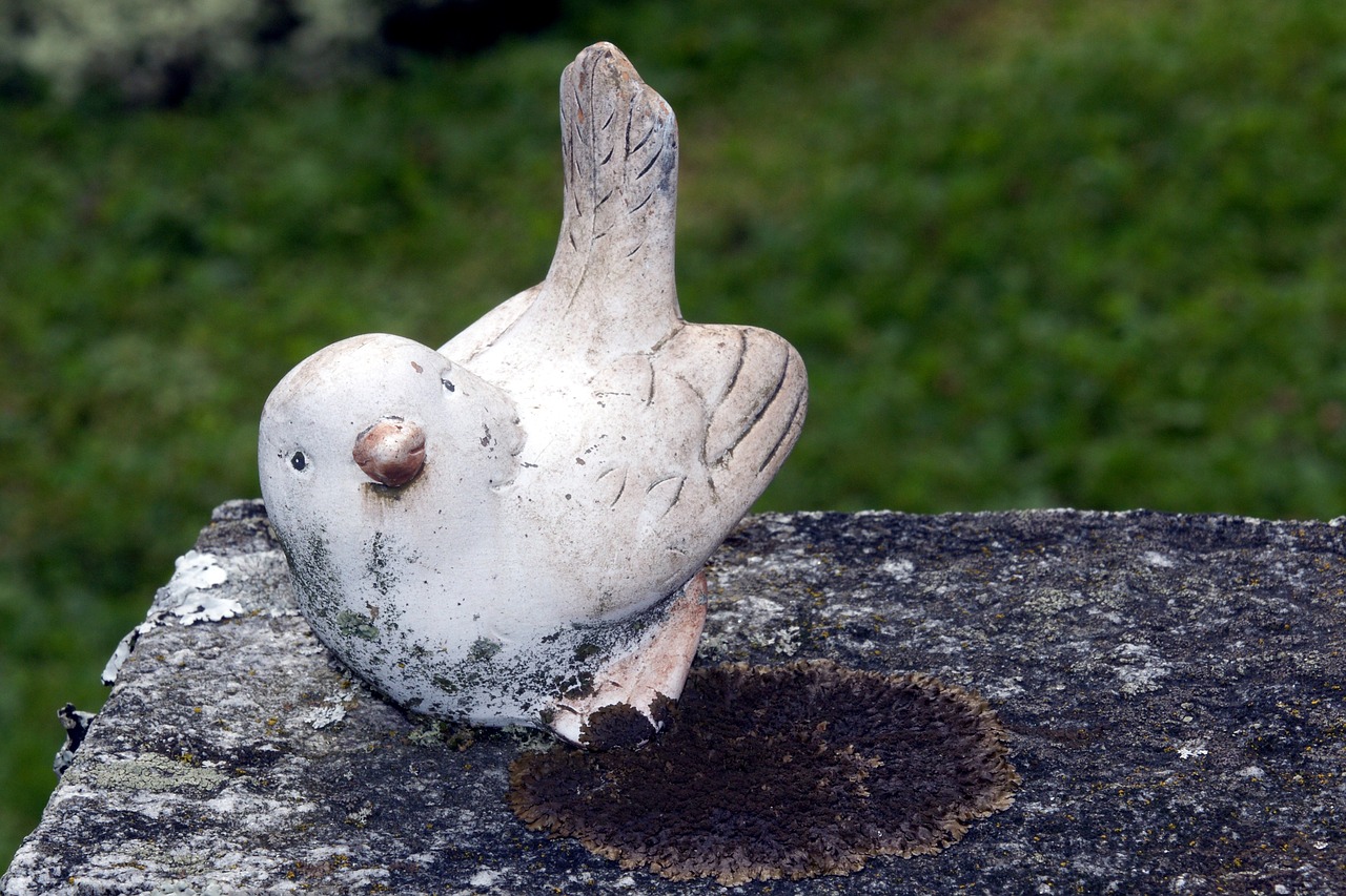 bird harmony cemetery free photo