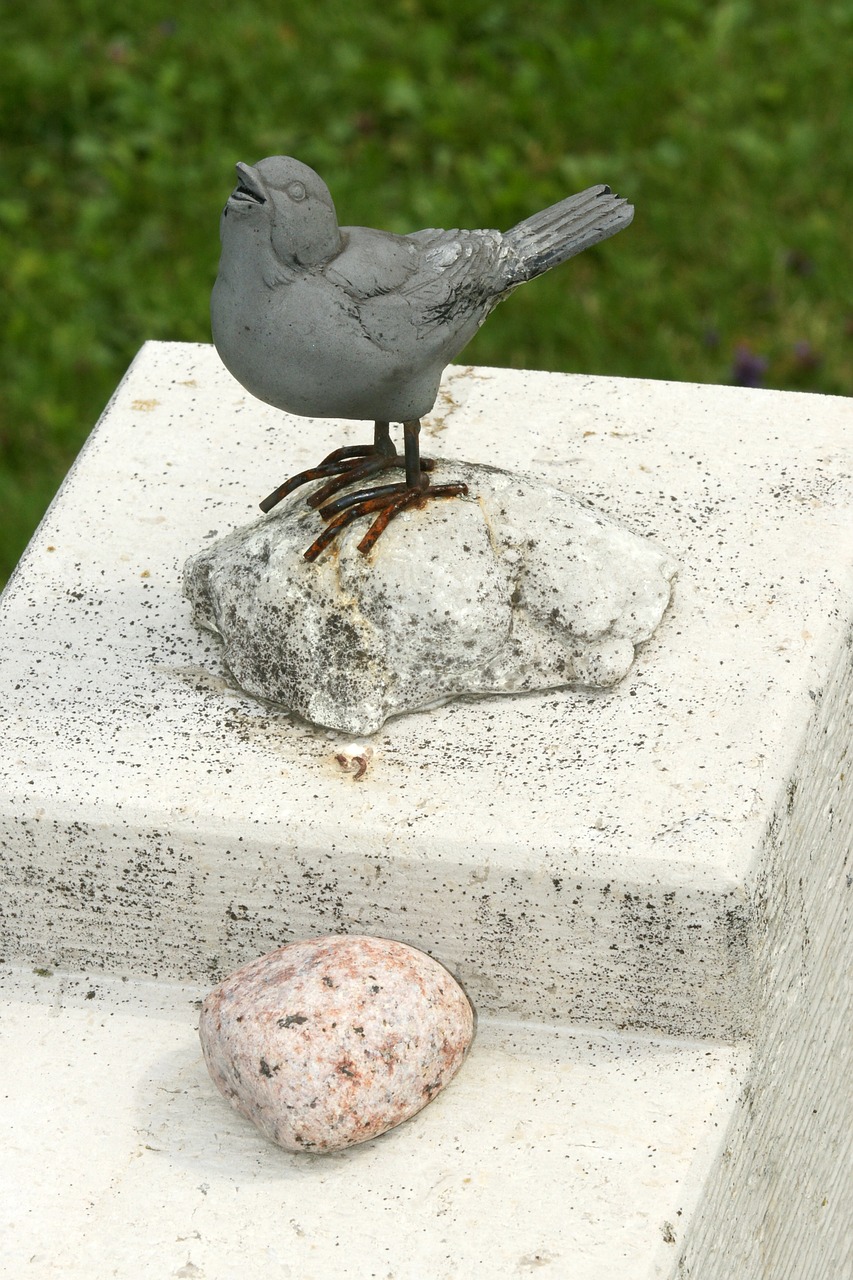 bird harmony cemetery free photo