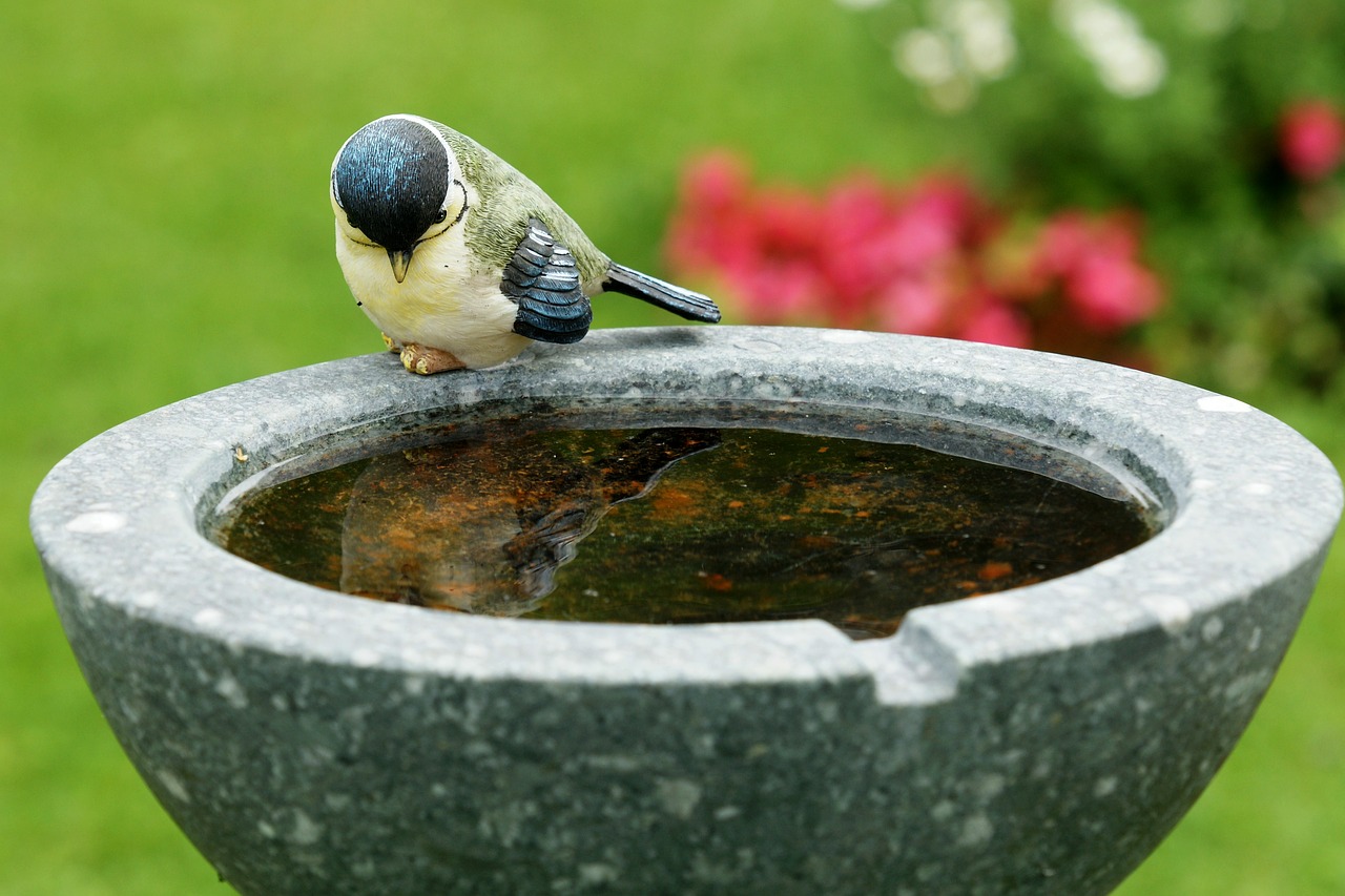 bird stone art free photo