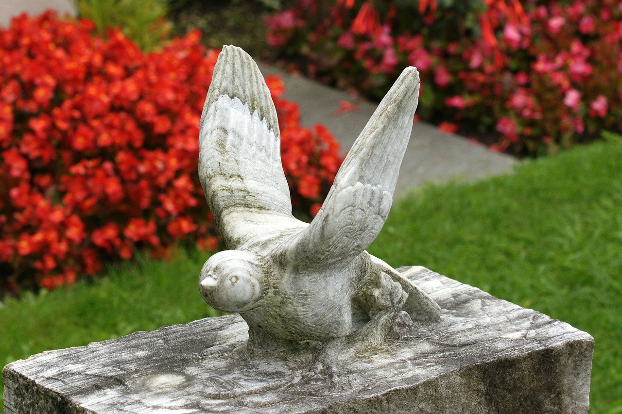 bird dove sculpture free photo