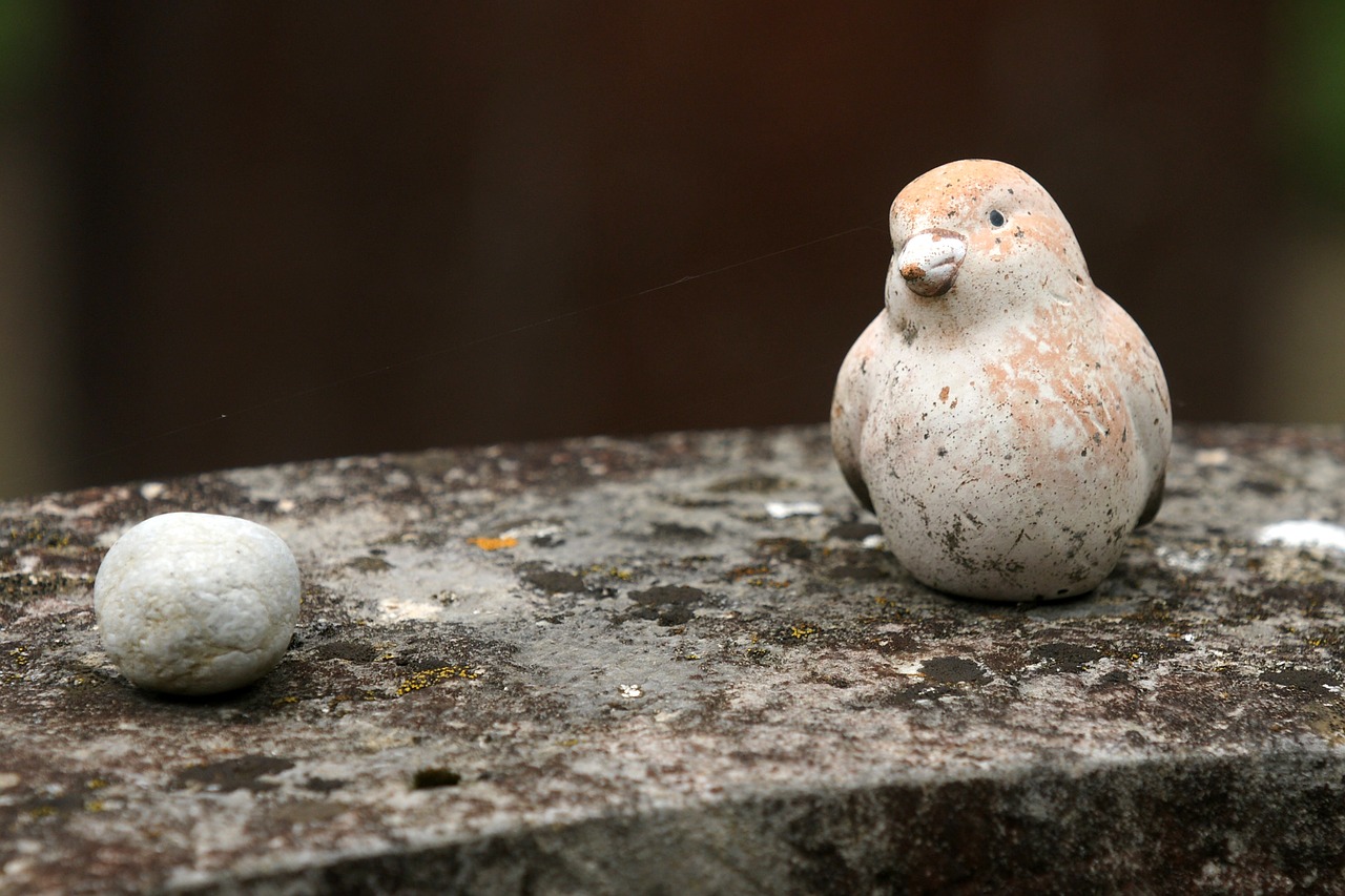 bird stone cemetery free photo