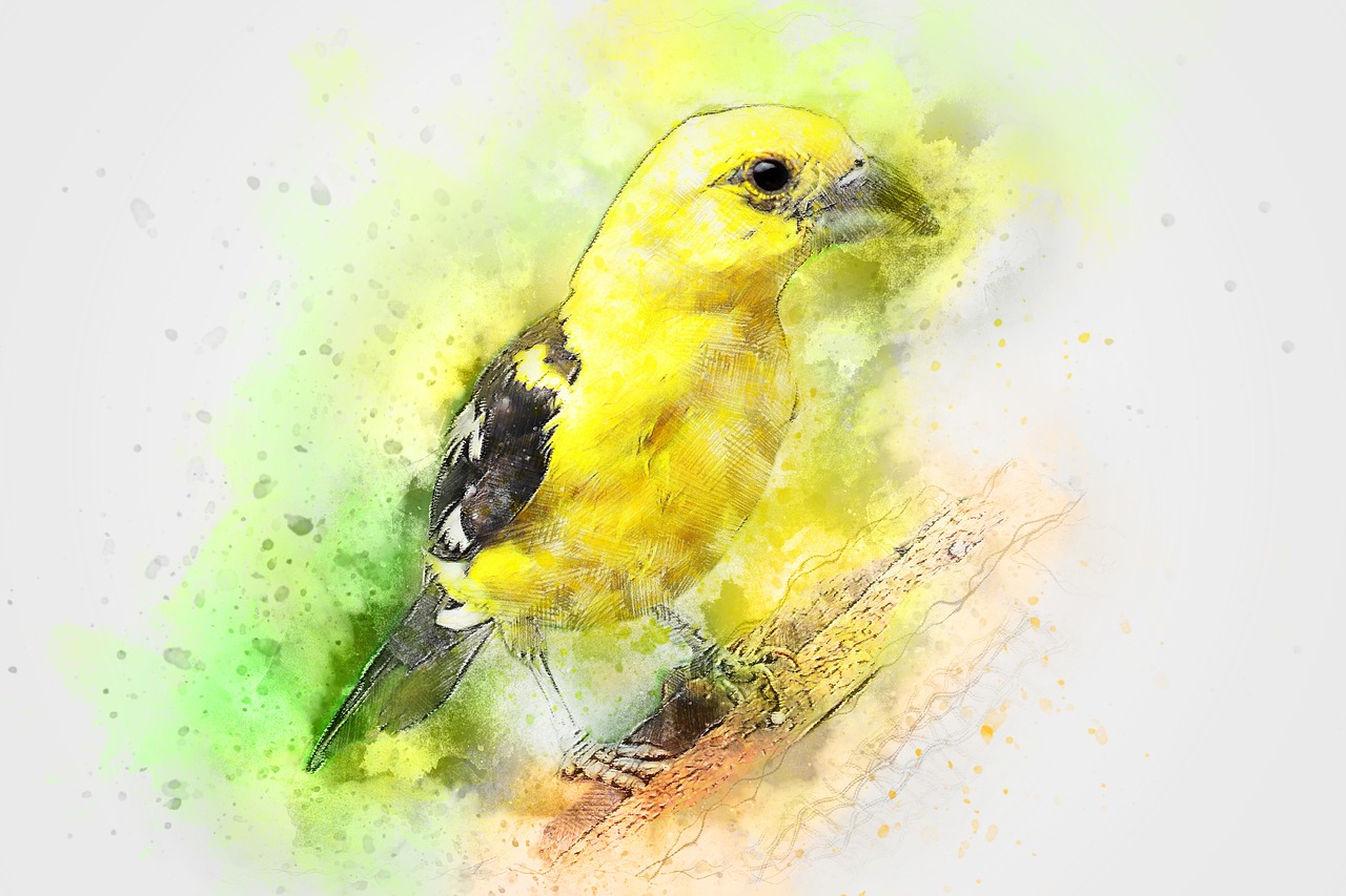 bird animal art free photo