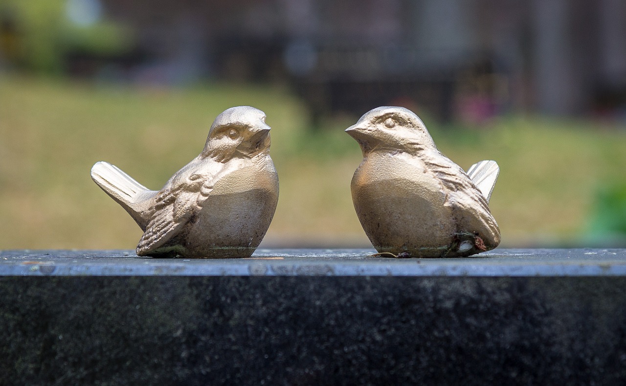 bird golden love free photo