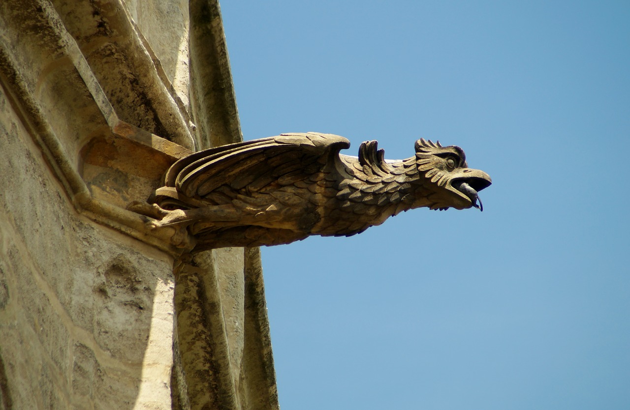 bird sky outdoors free photo