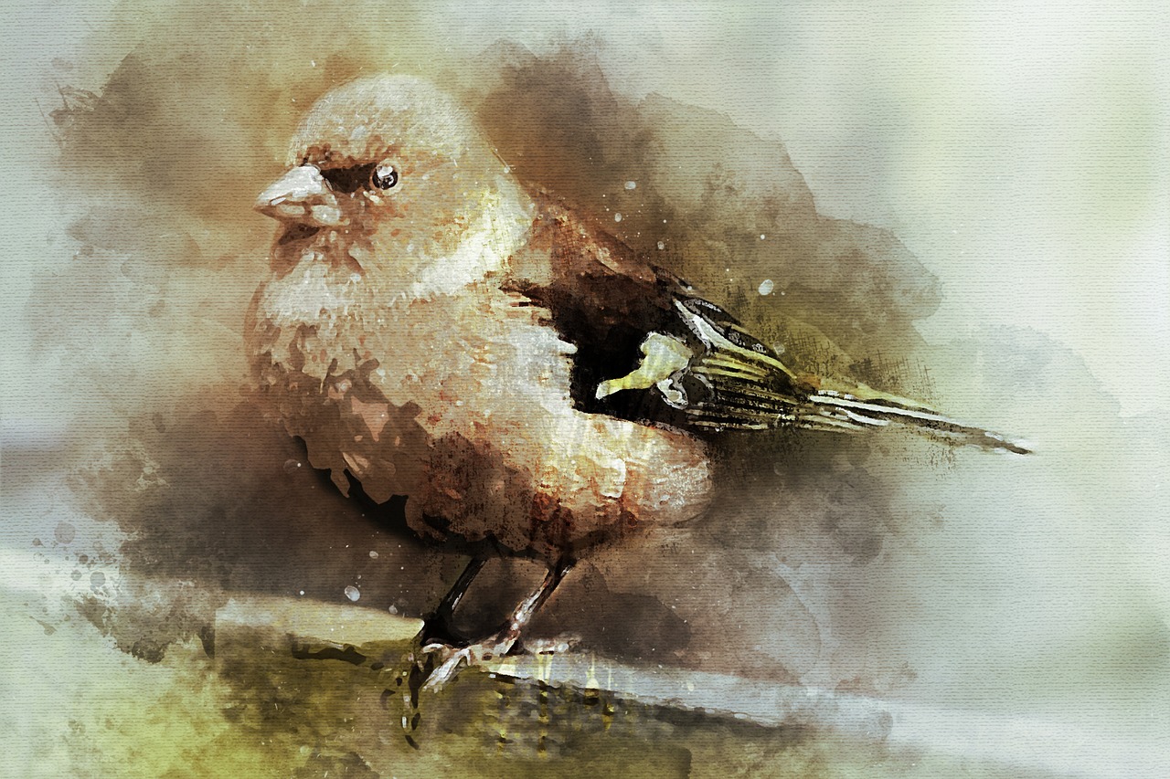 bird  songbird  chaffinch free photo