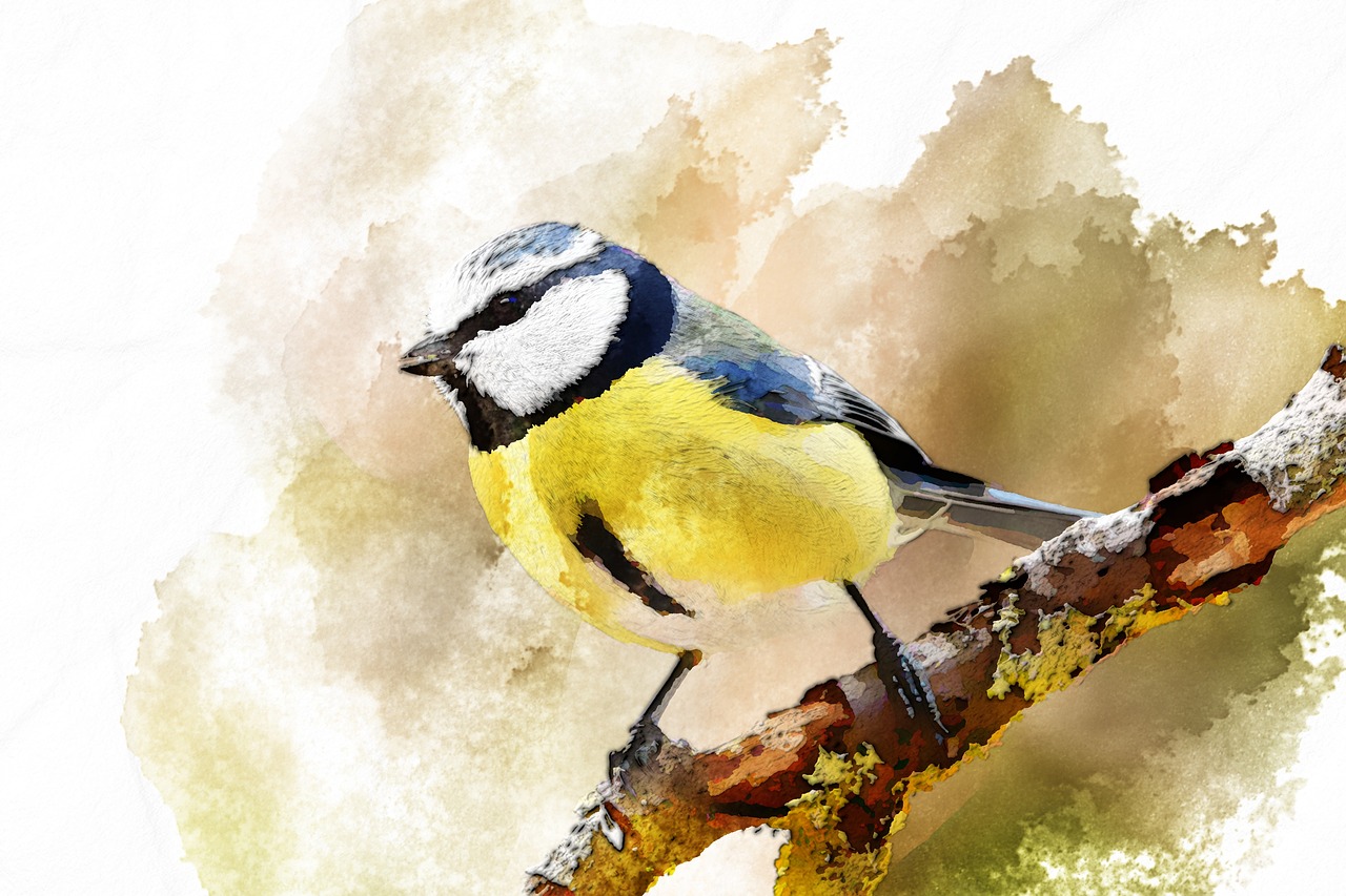 bird  woodland animal  watercolor image free photo