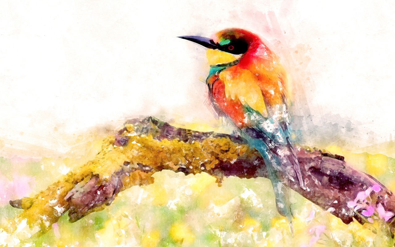 bird  watercolor  background free photo