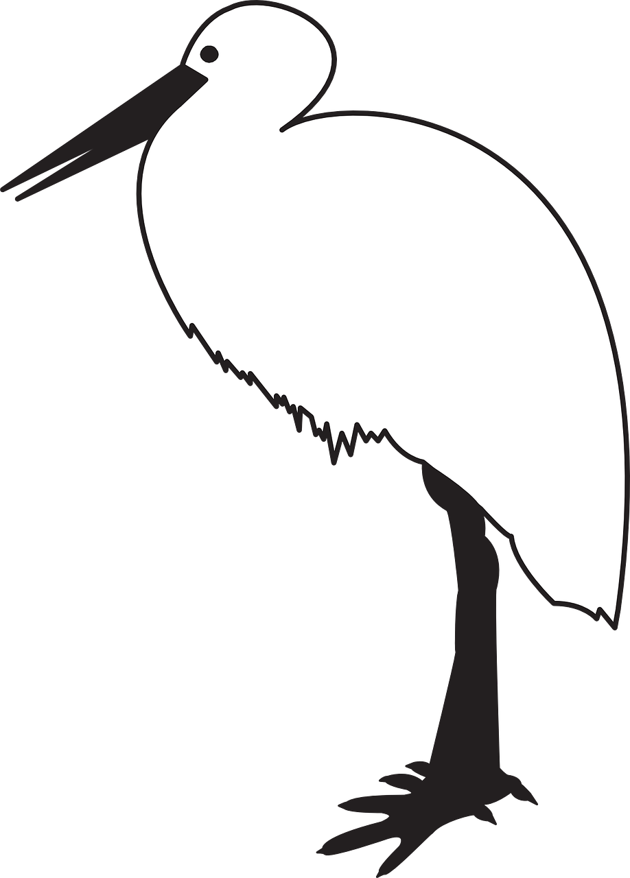 bird animal stork free photo