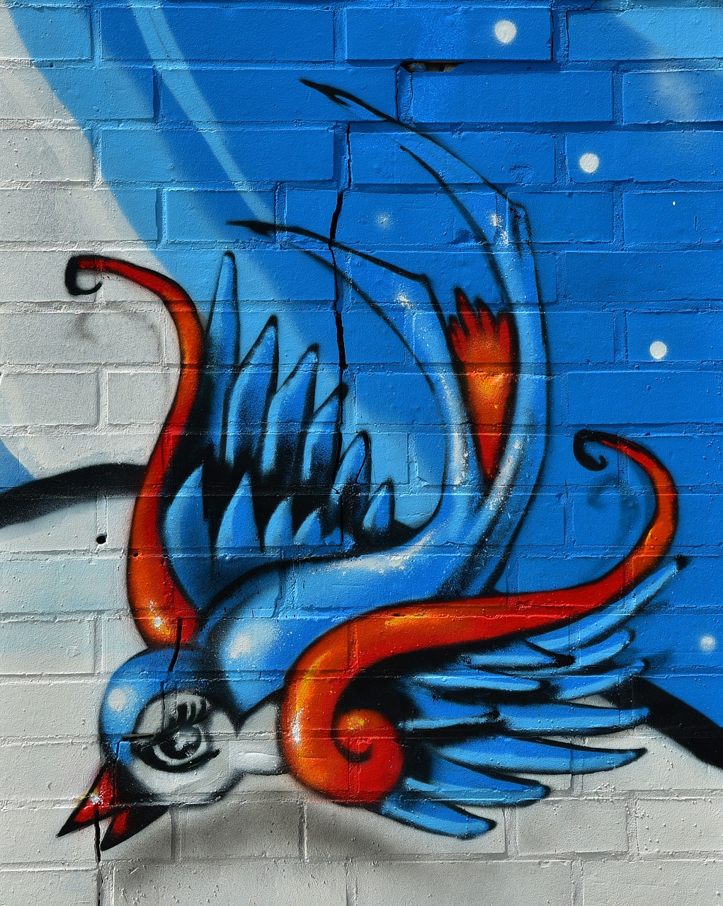 bird graffity hauswand free photo