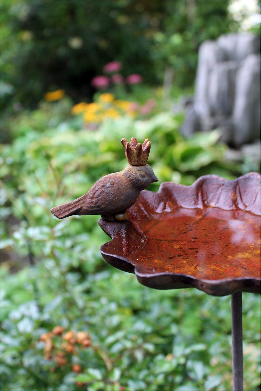 bird bath old garden free photo