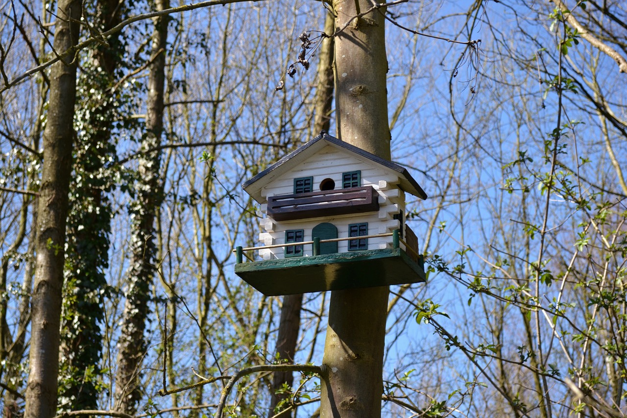 bird box birdhouse forest free photo
