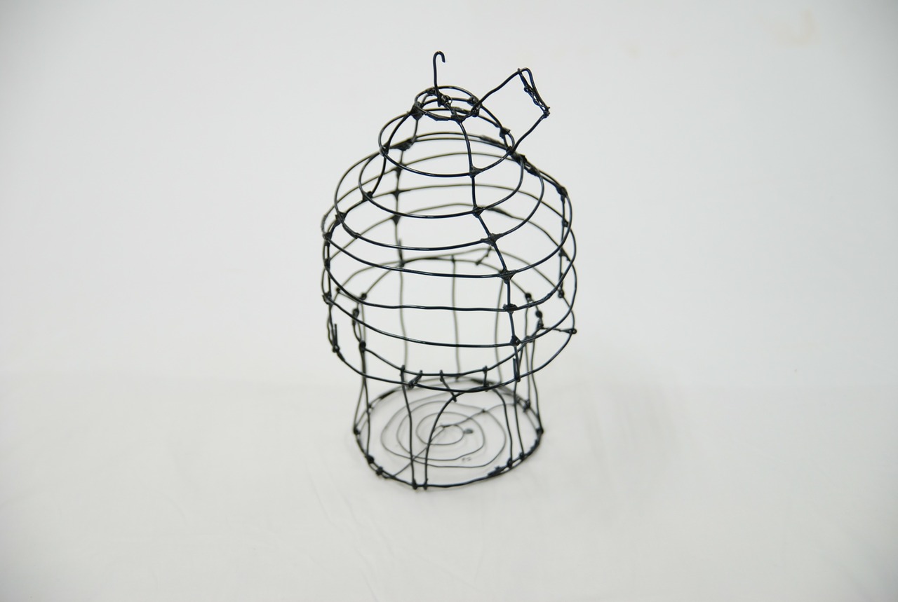 bird cage art molding free photo
