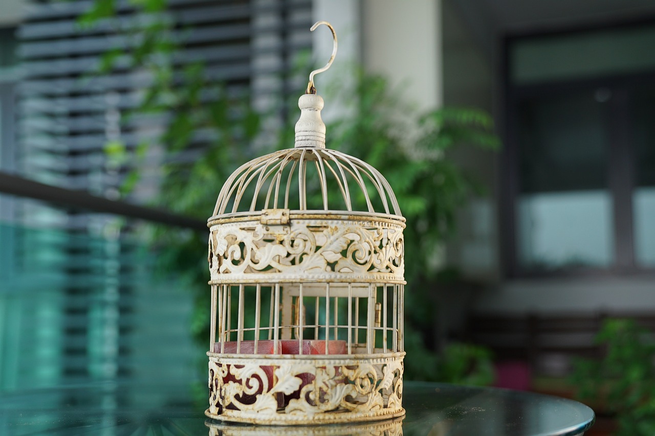 bird cage vintage decorative free photo