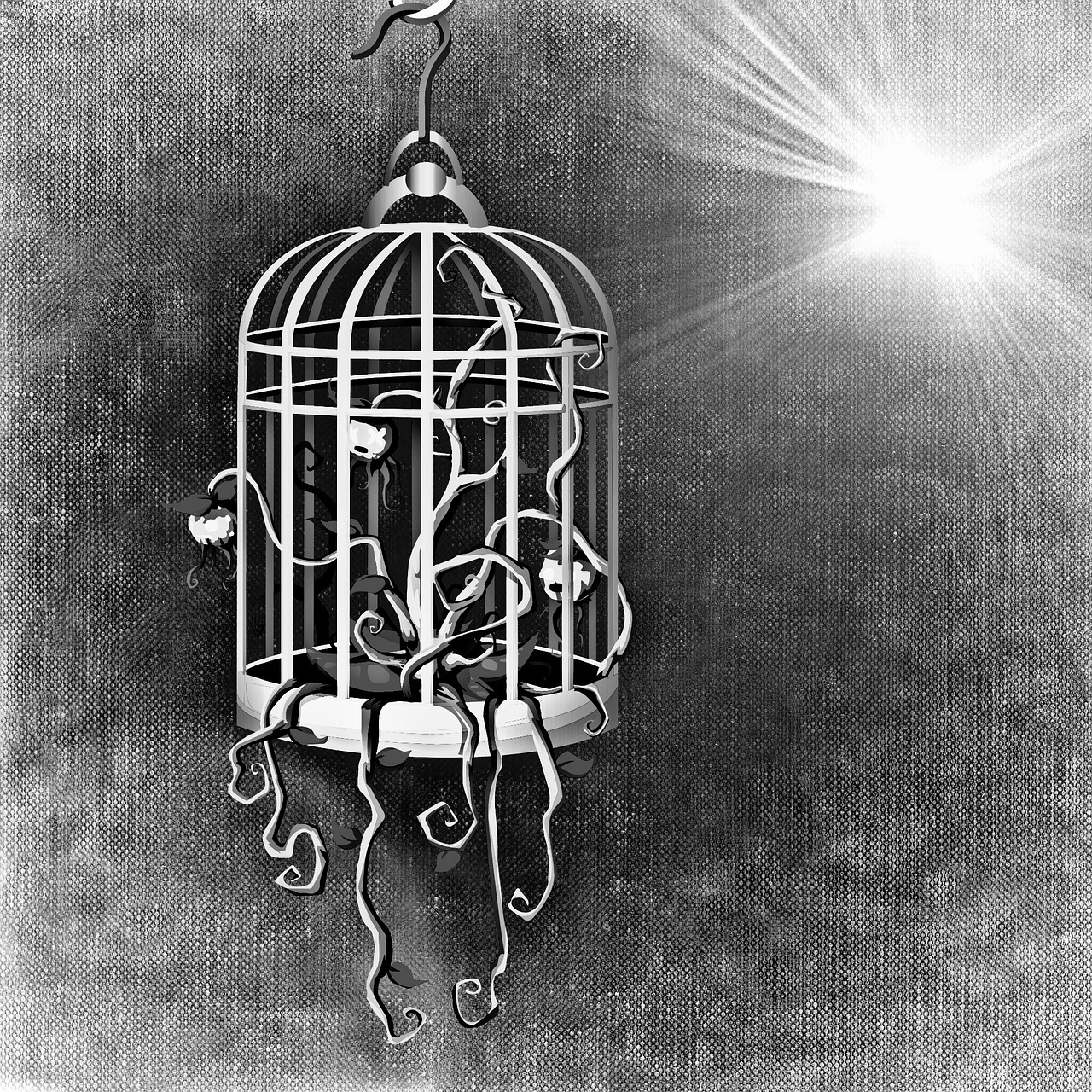 bird cage cage plant free photo