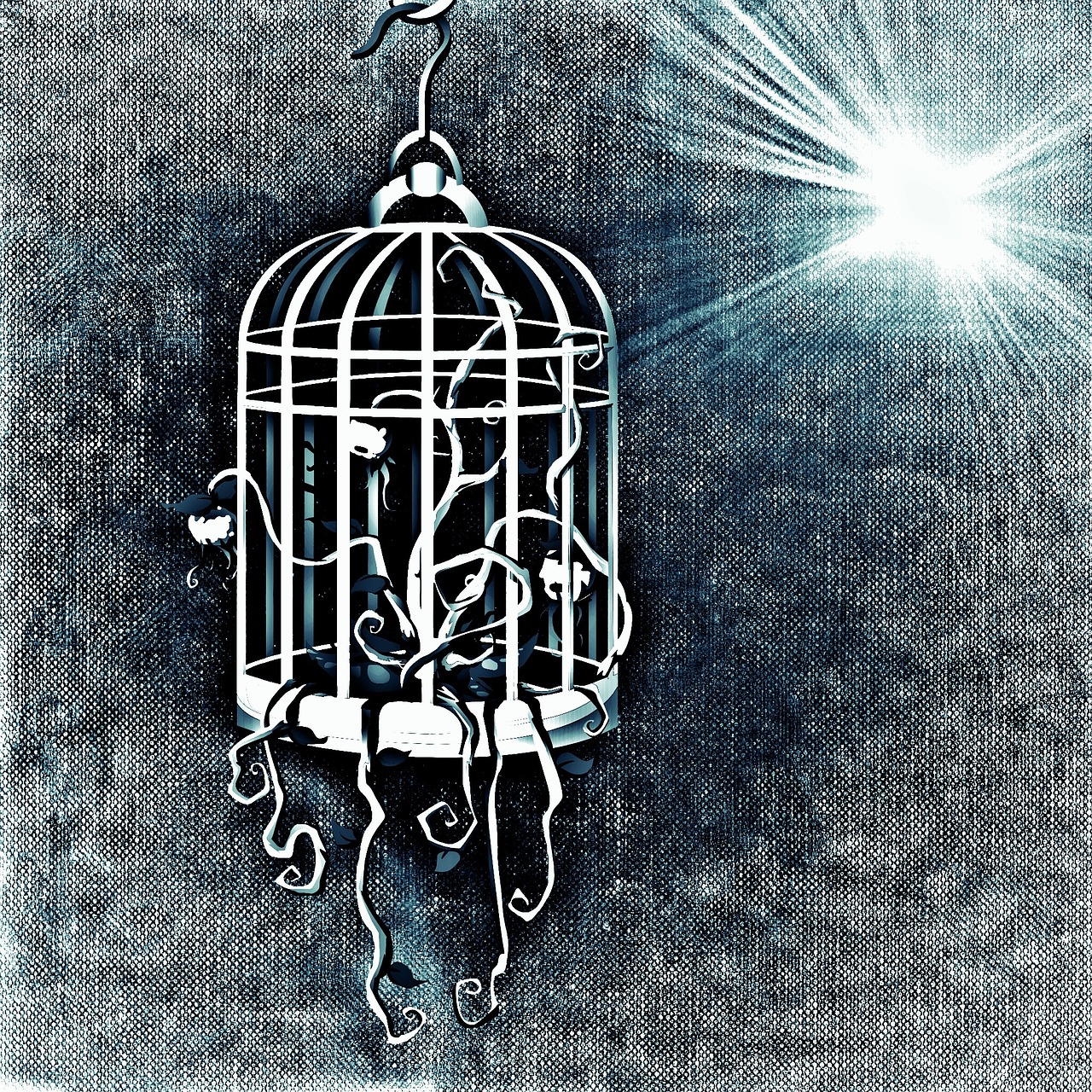 bird cage cage plant free photo