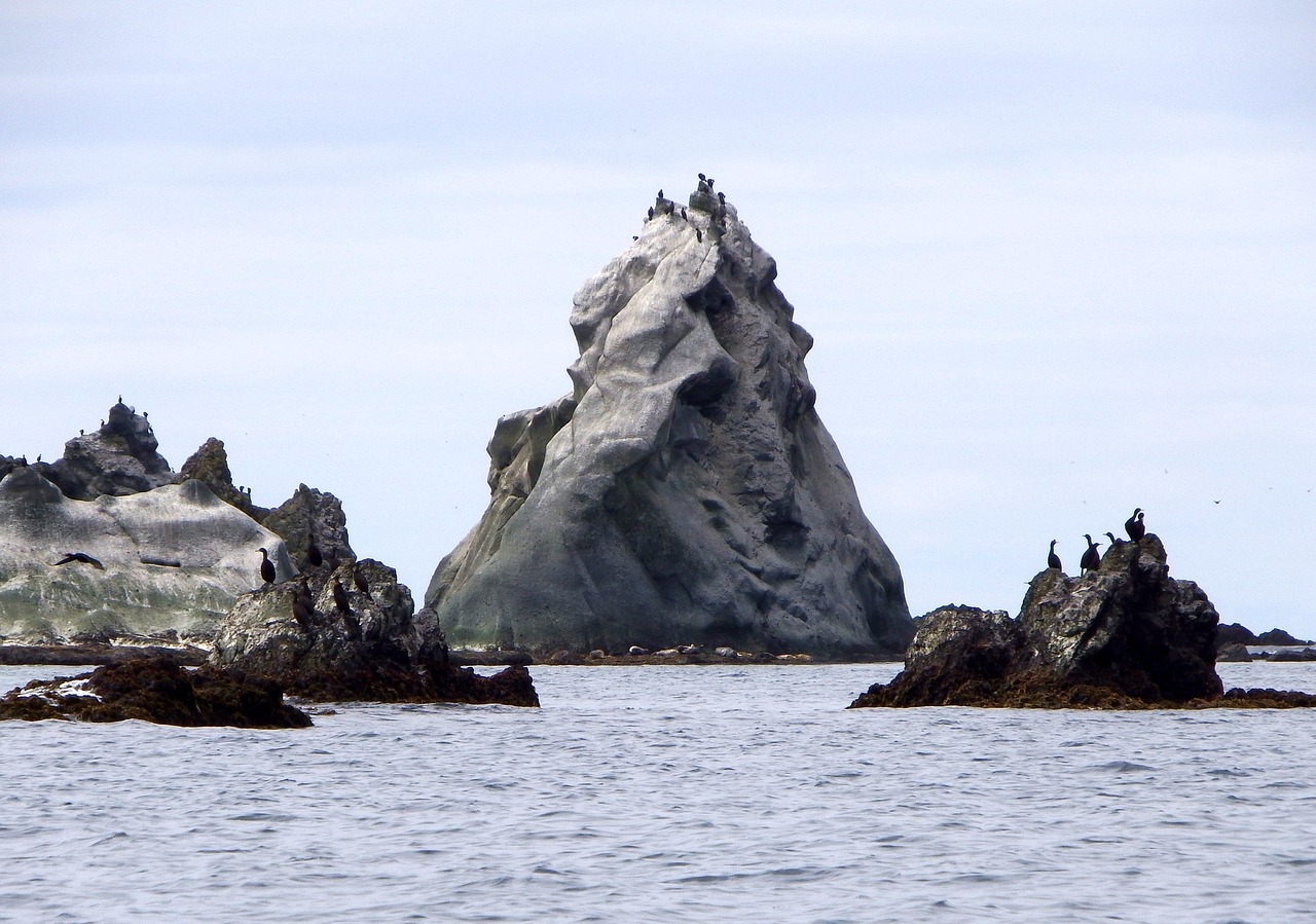 bird colonies rocks islands in the ocean free photo
