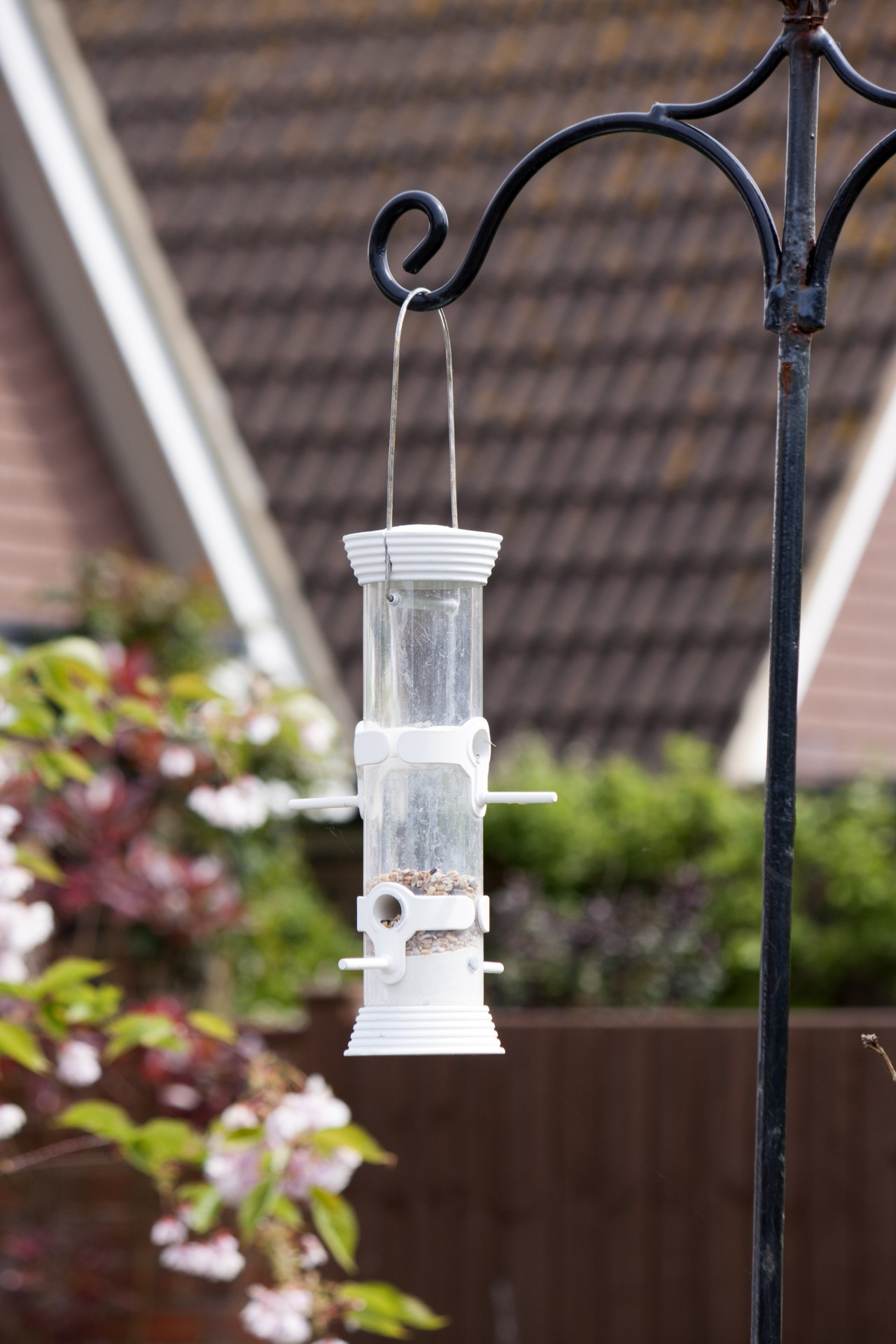 bird feeder feeder hanging free photo