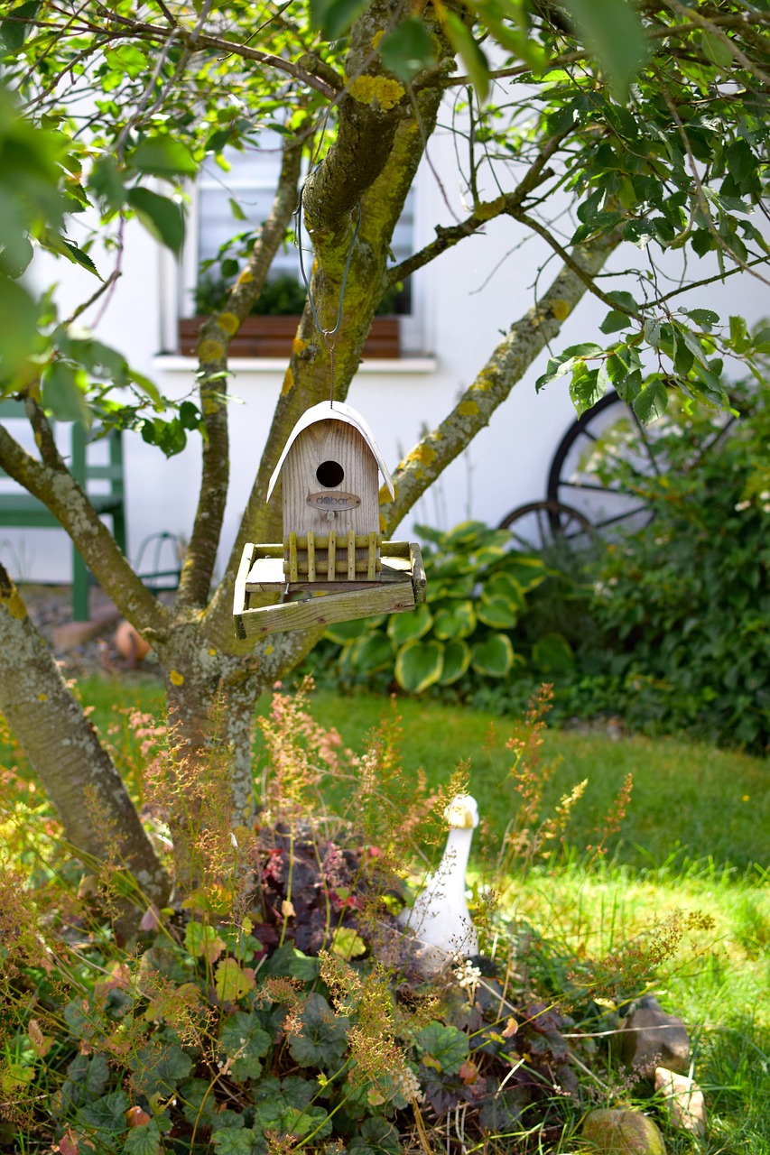 bird feeder tree feeding free photo
