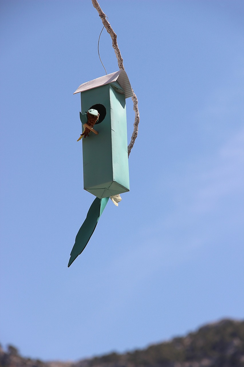bird feeder nesting box nesting place free photo
