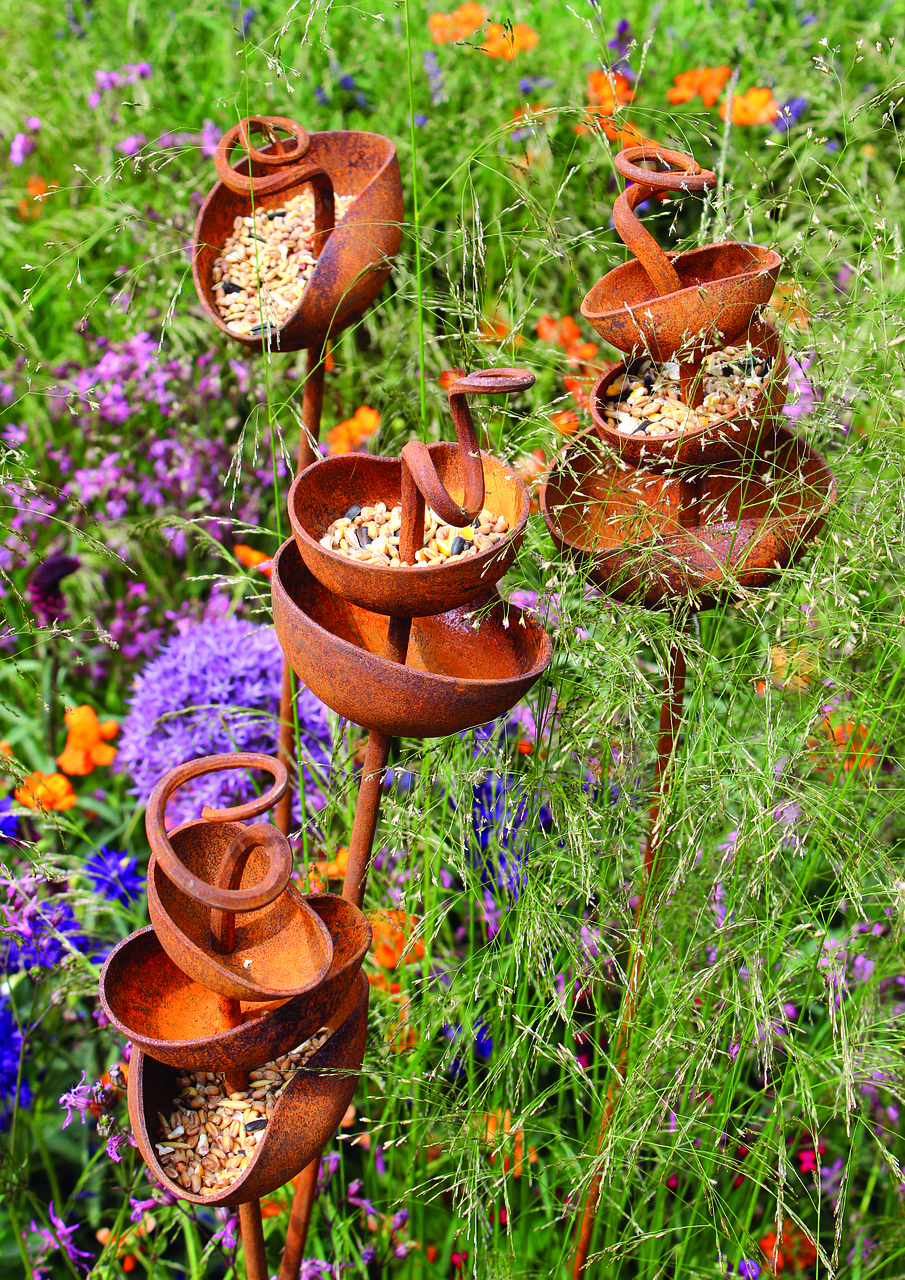 bird feeder  seeds  plants free photo