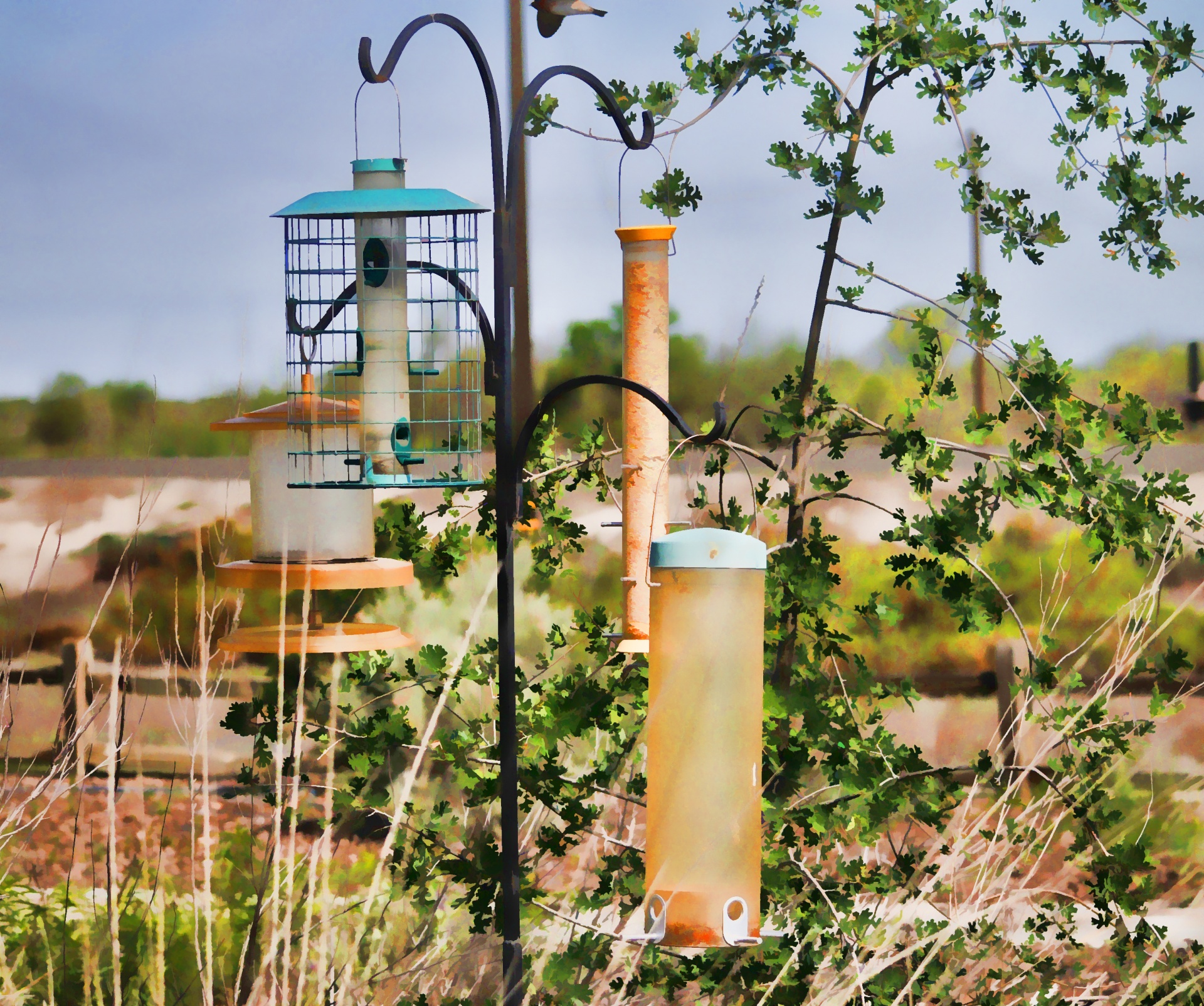 bird feeder bird feeders wood free photo