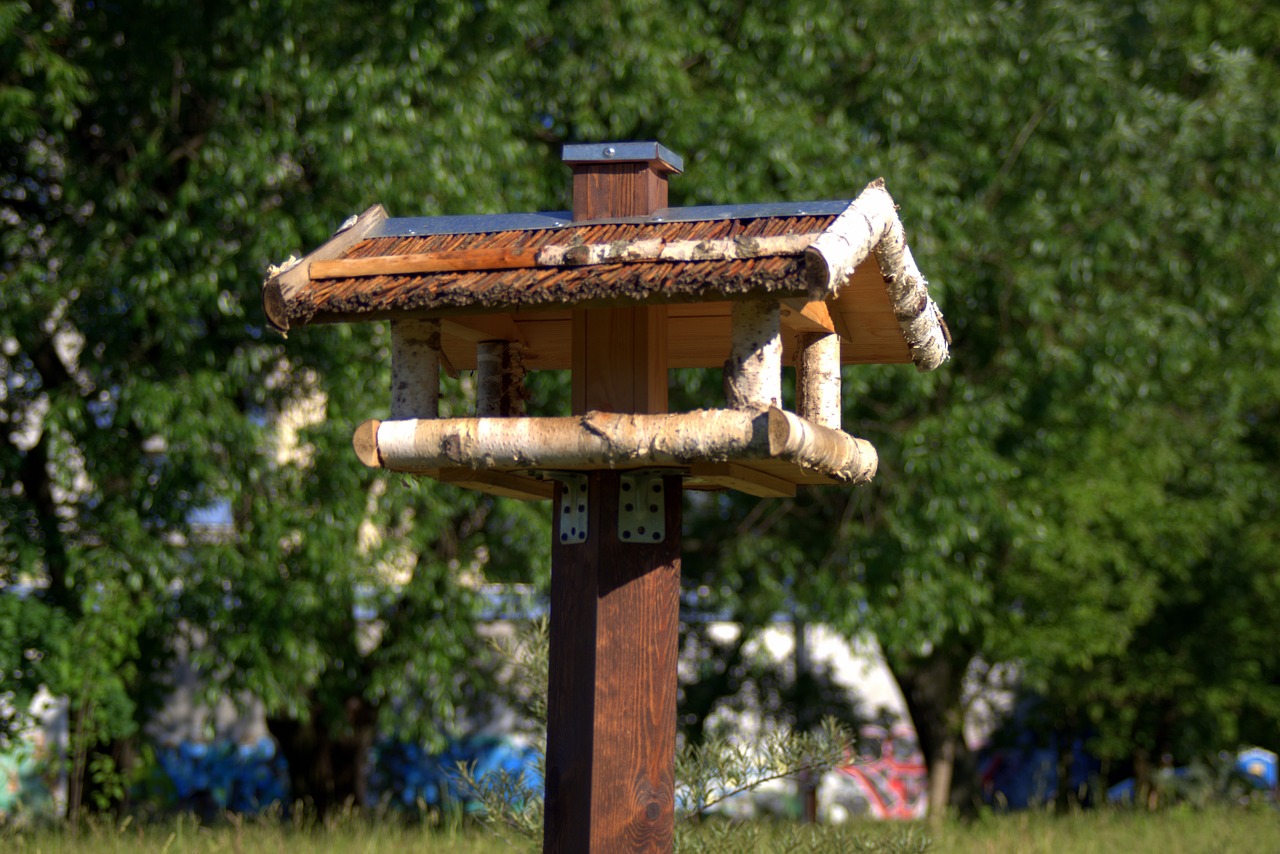 bird feeding tray shed wooden free photo