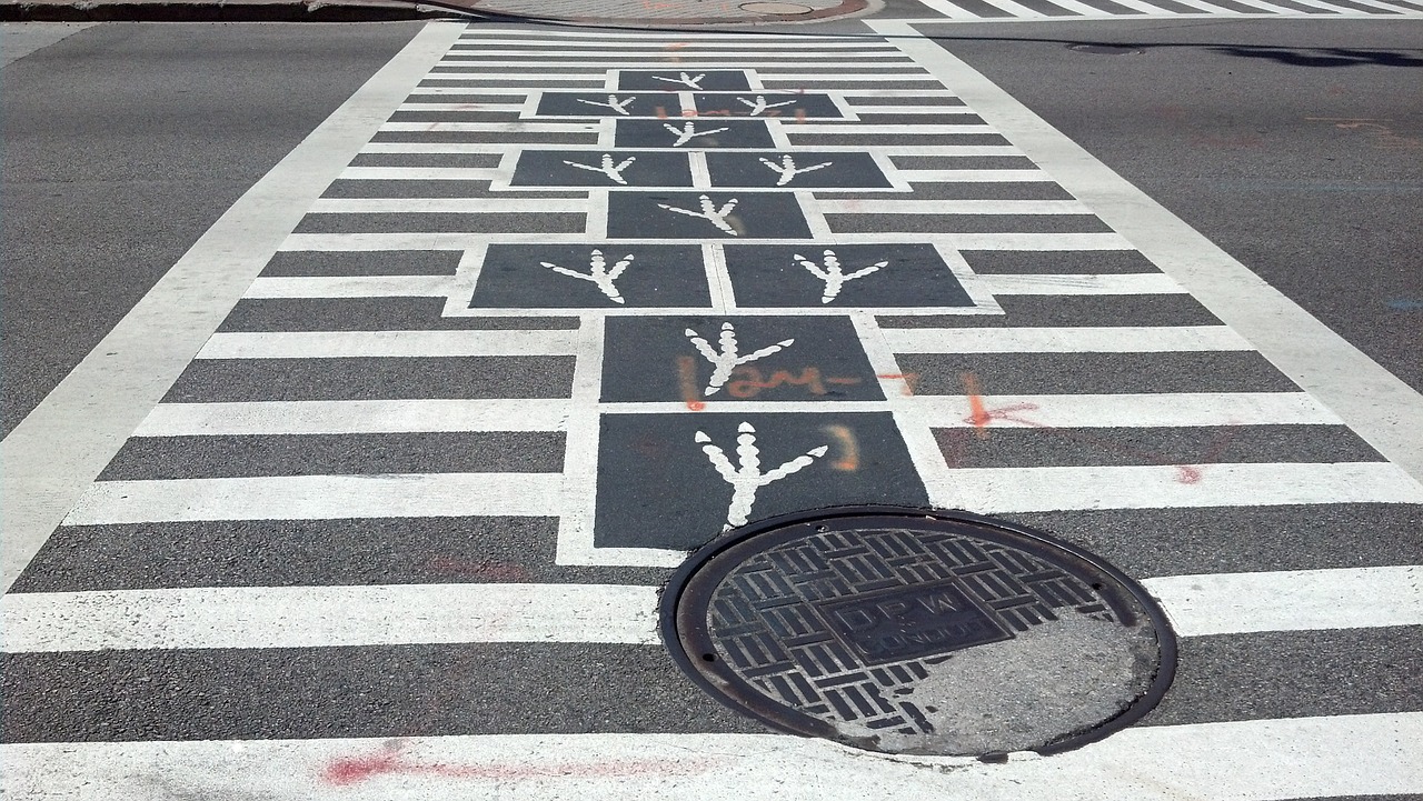 bird feet crossing walk free photo