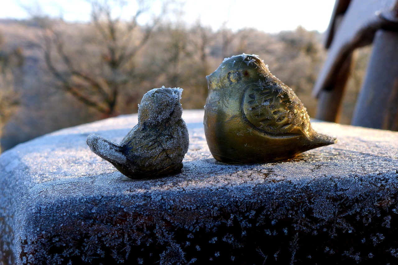 bird figures  ice  winter free photo