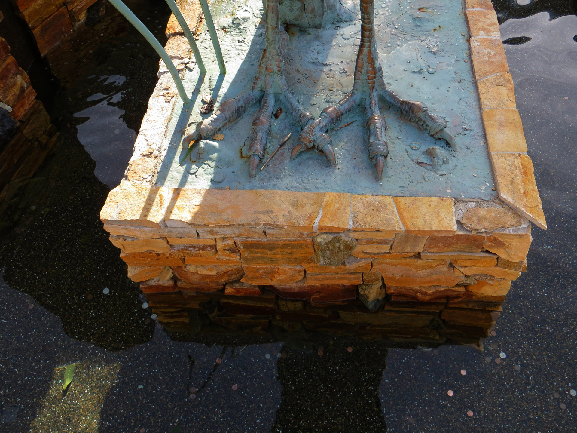 bird feet fountain free photo