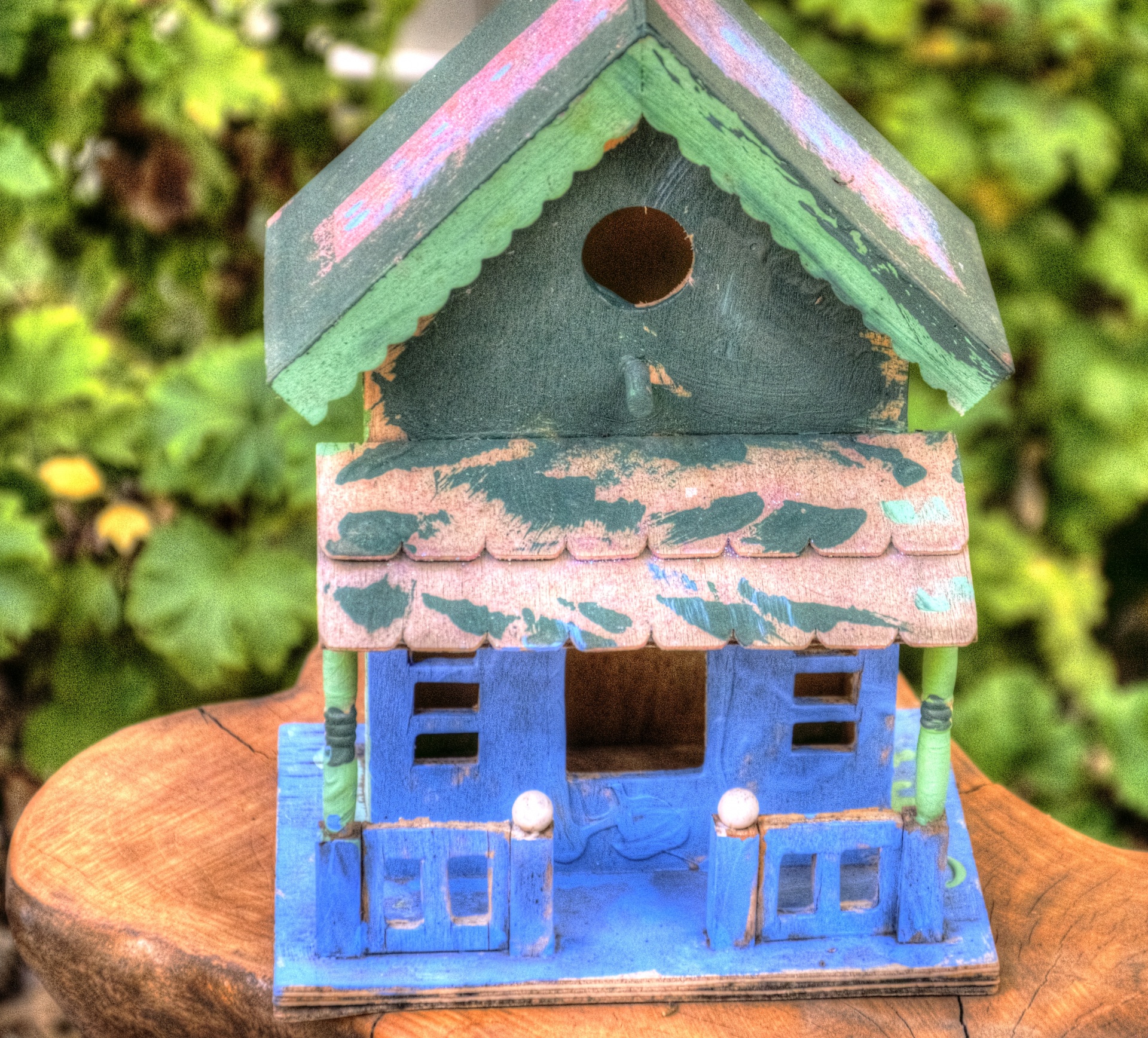 birdhouse bird house bird free photo