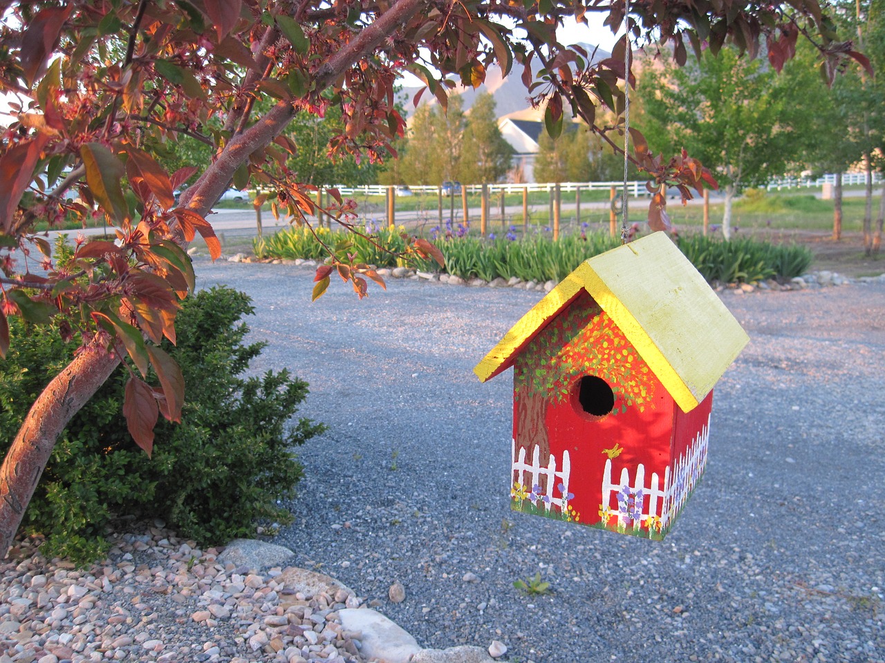 bird house country whimsy country free photo