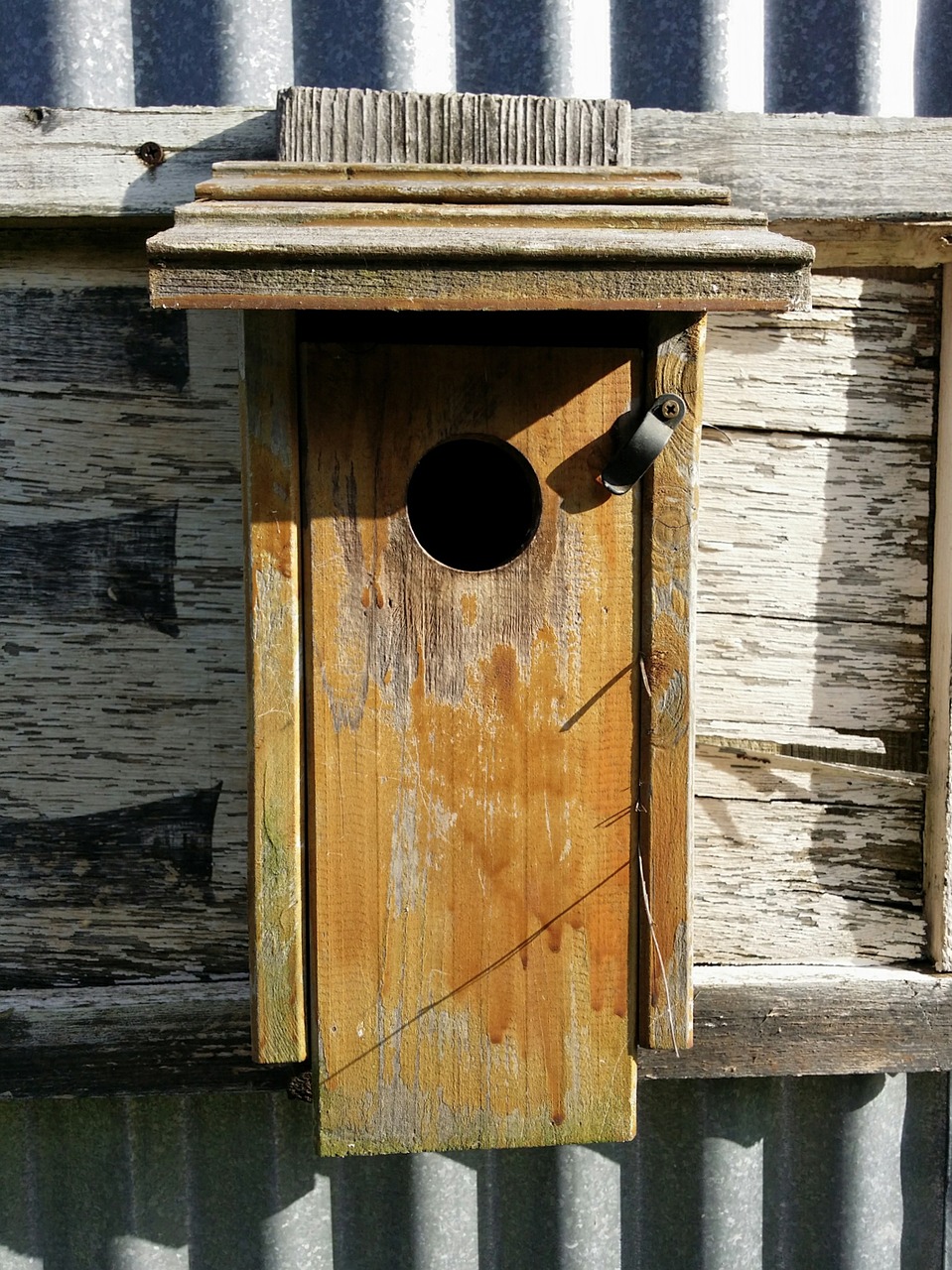 bird house country outdoor free photo