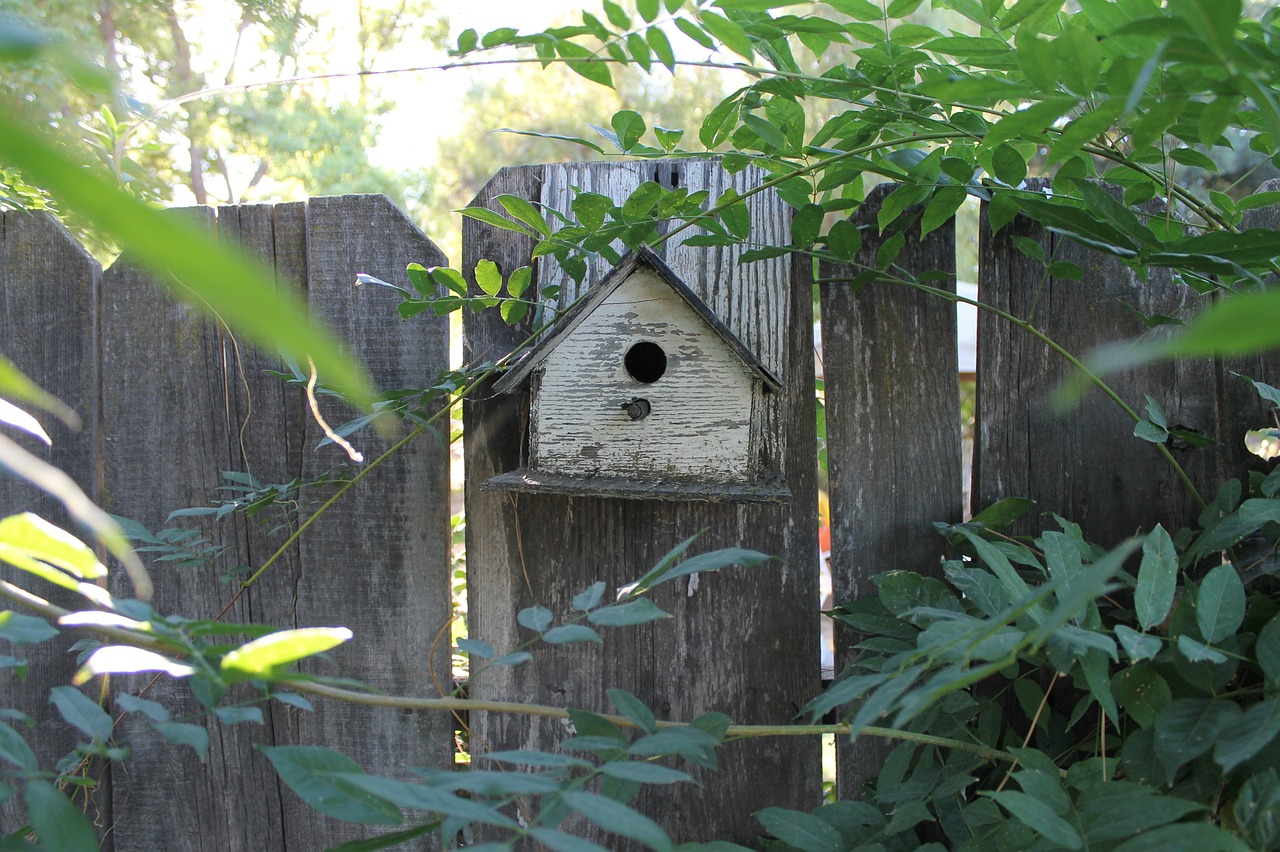 bird house fence garden free photo