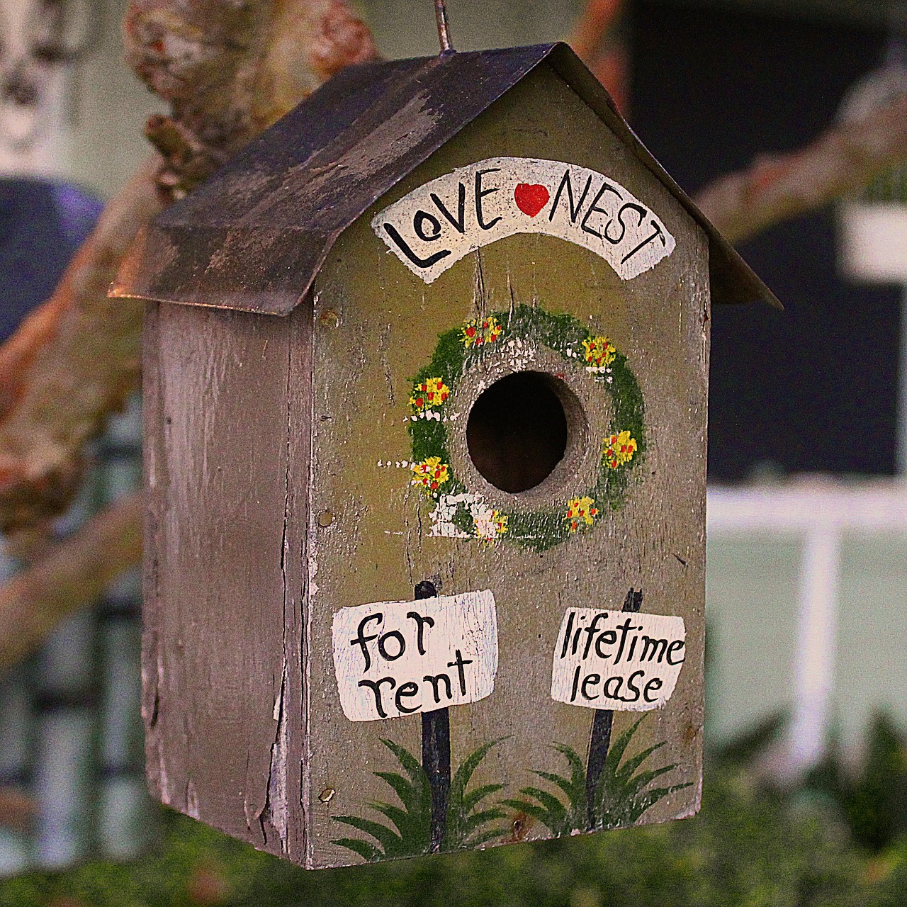 bird house love cute free photo