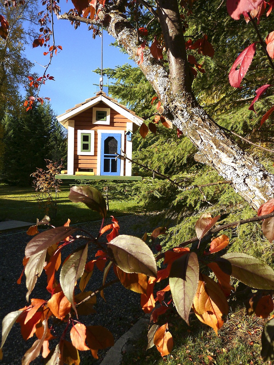 bird house fall autumn free photo