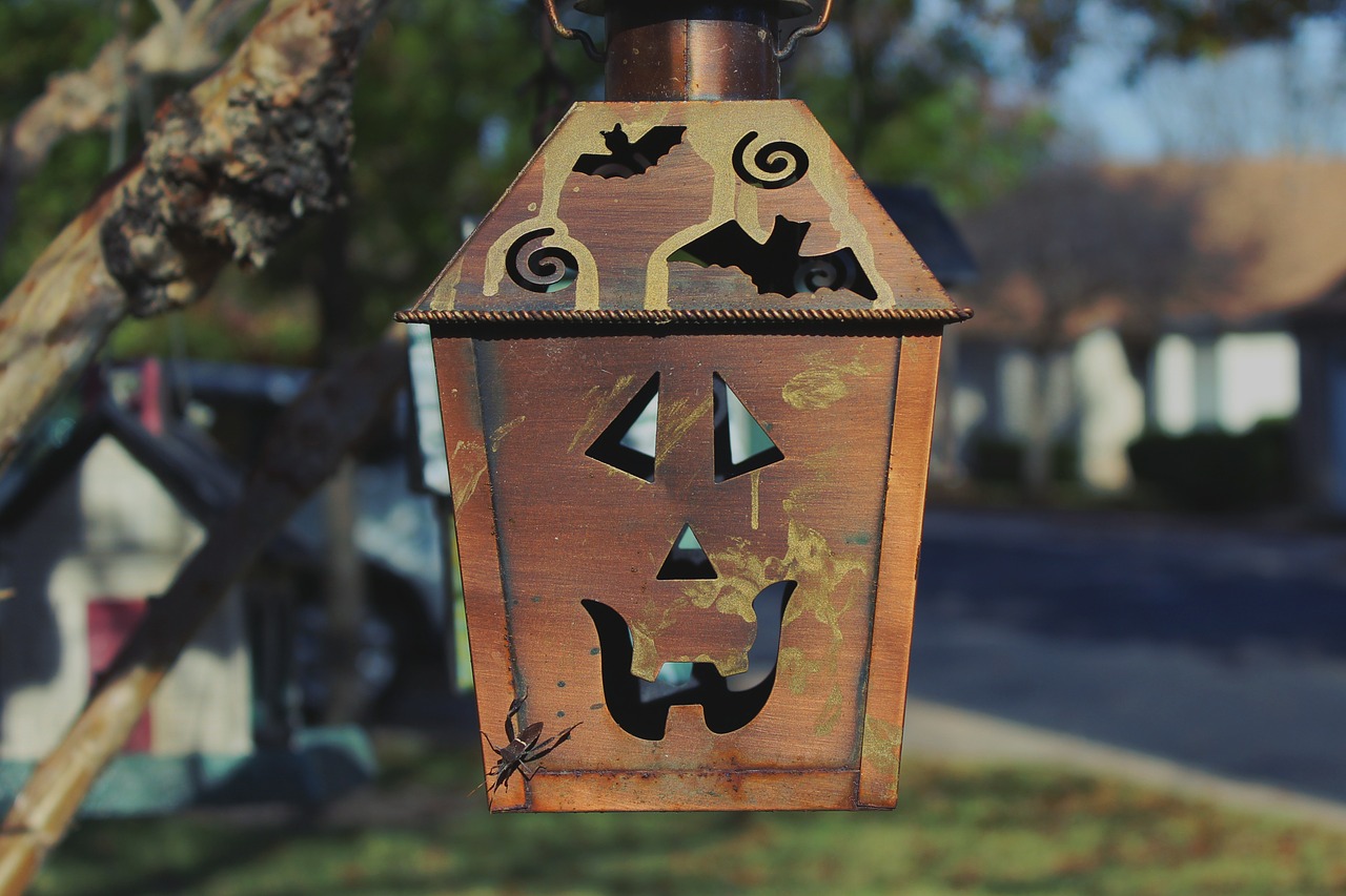 bird house halloween bird feeder free photo