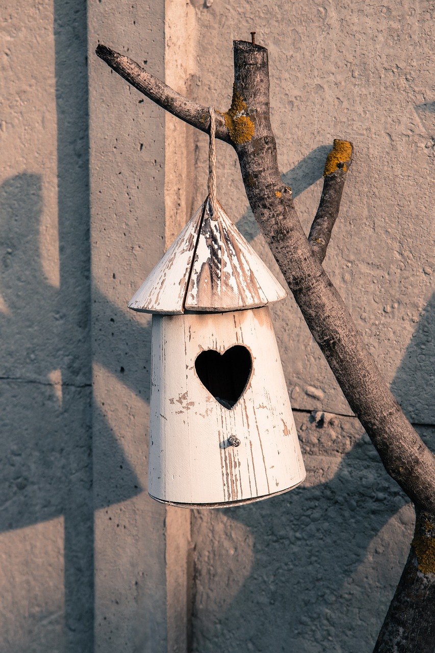 bird hut garden wood free photo