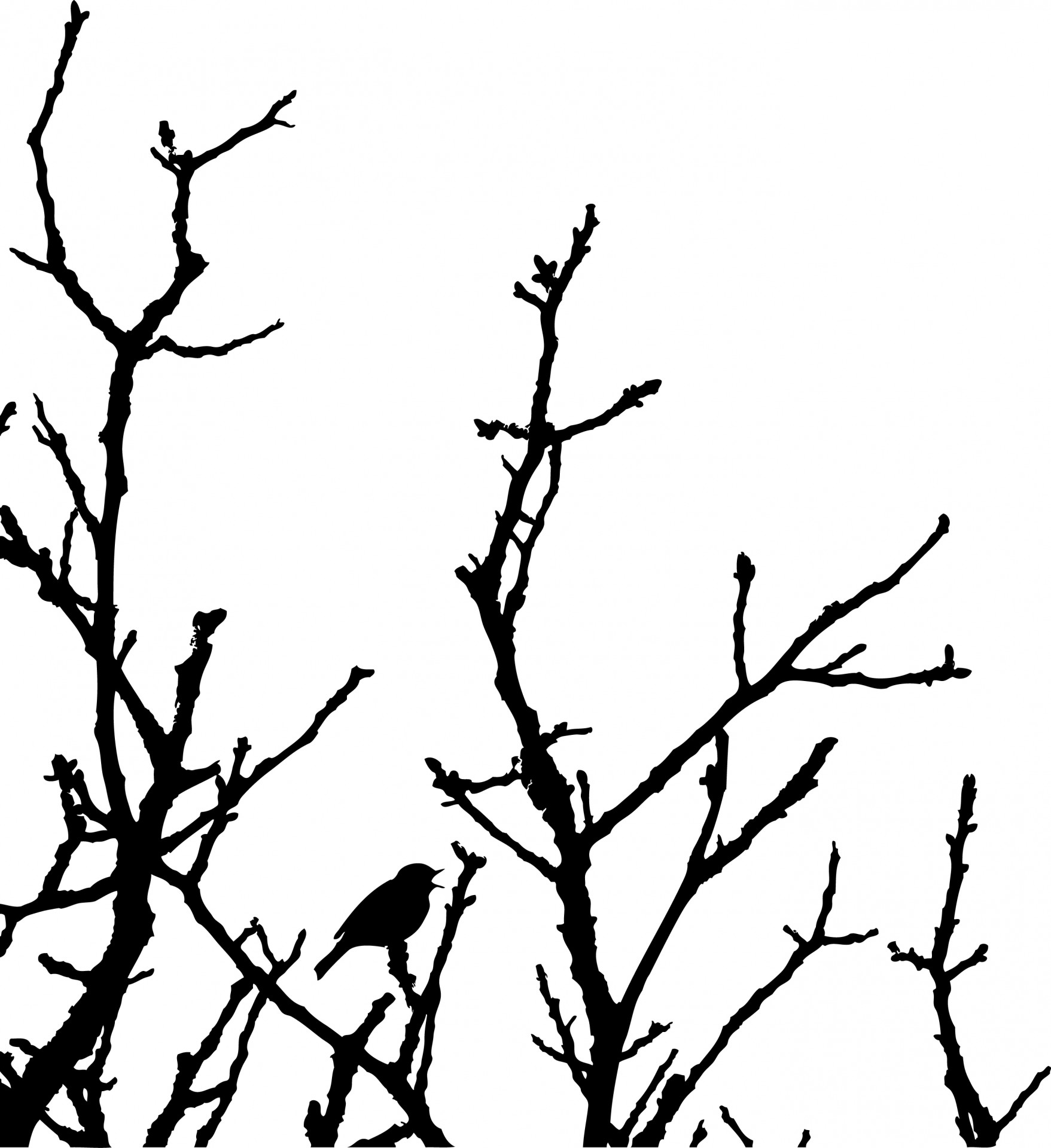 Brush sketch of tree and birds Royalty Free Vector Image