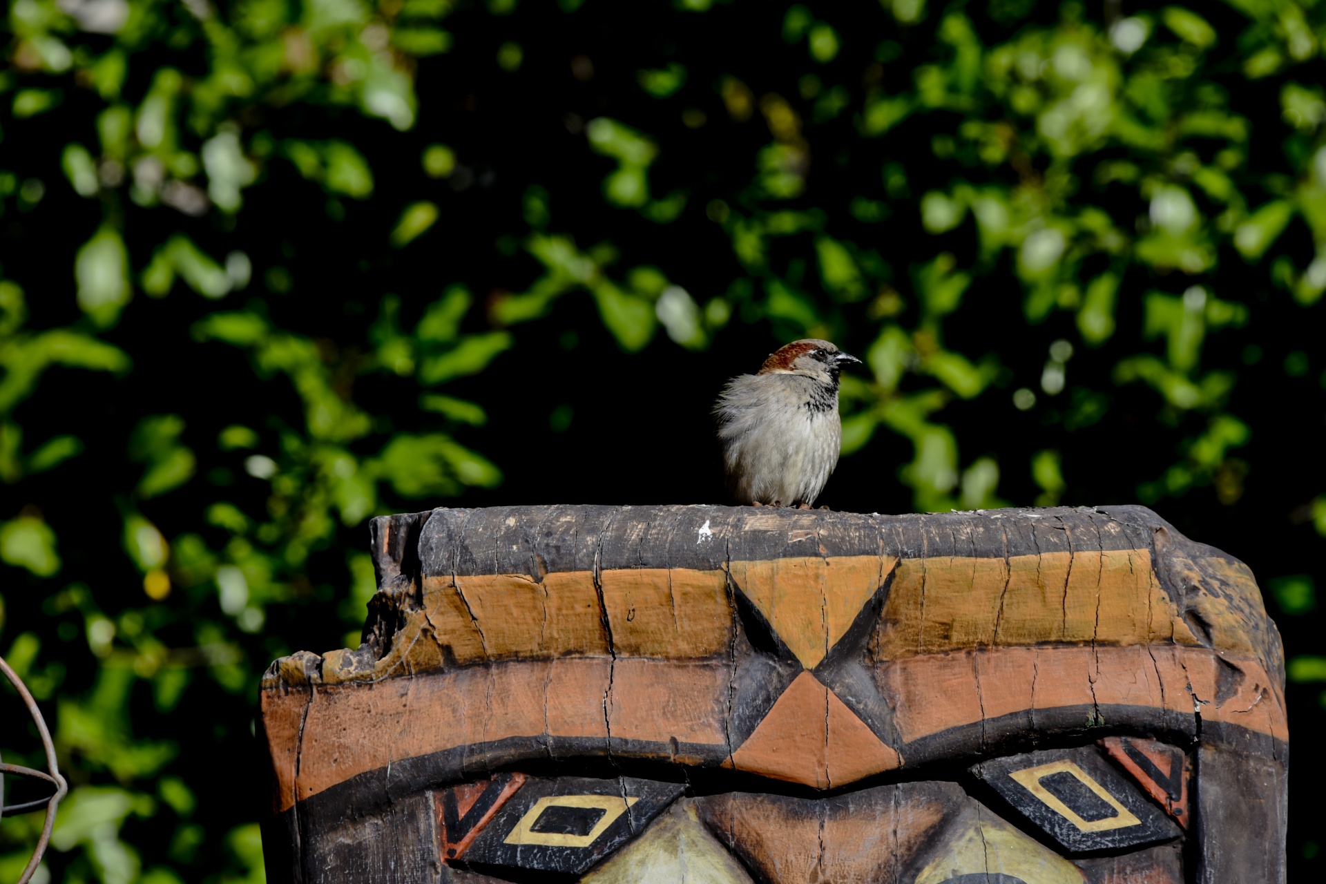 bird totem pole perched free photo