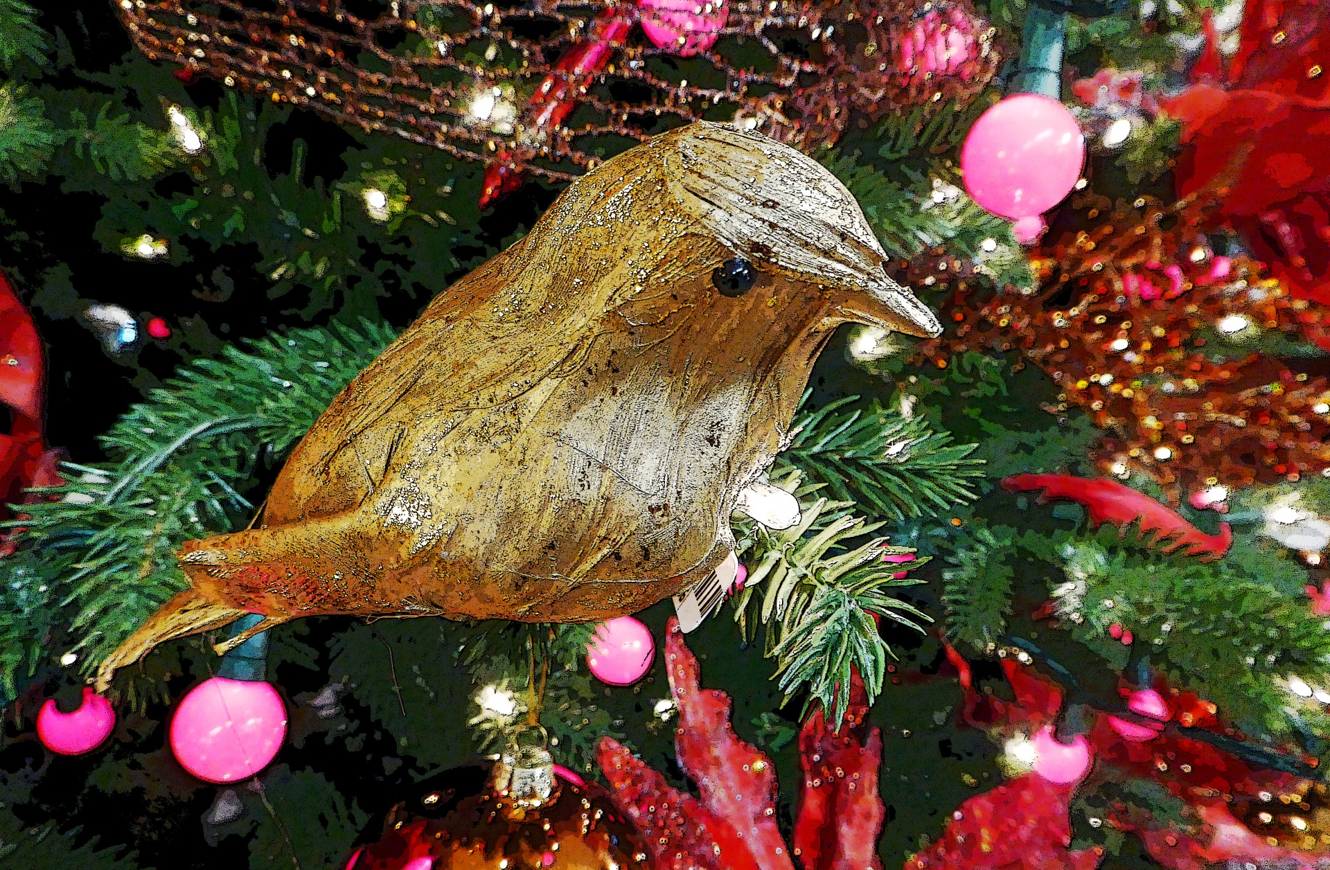 christmas bird birds free photo