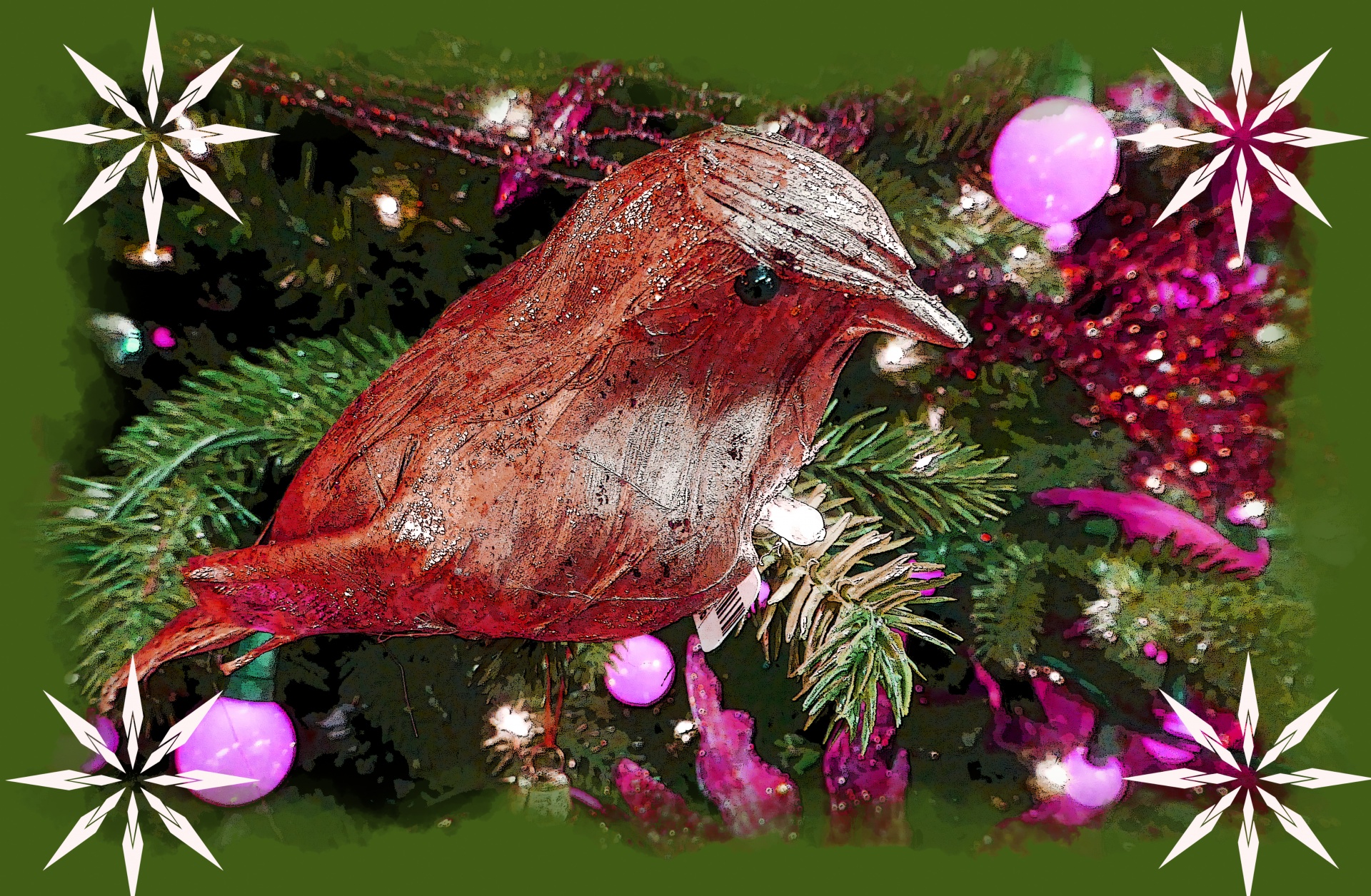 christmas bird birds free photo