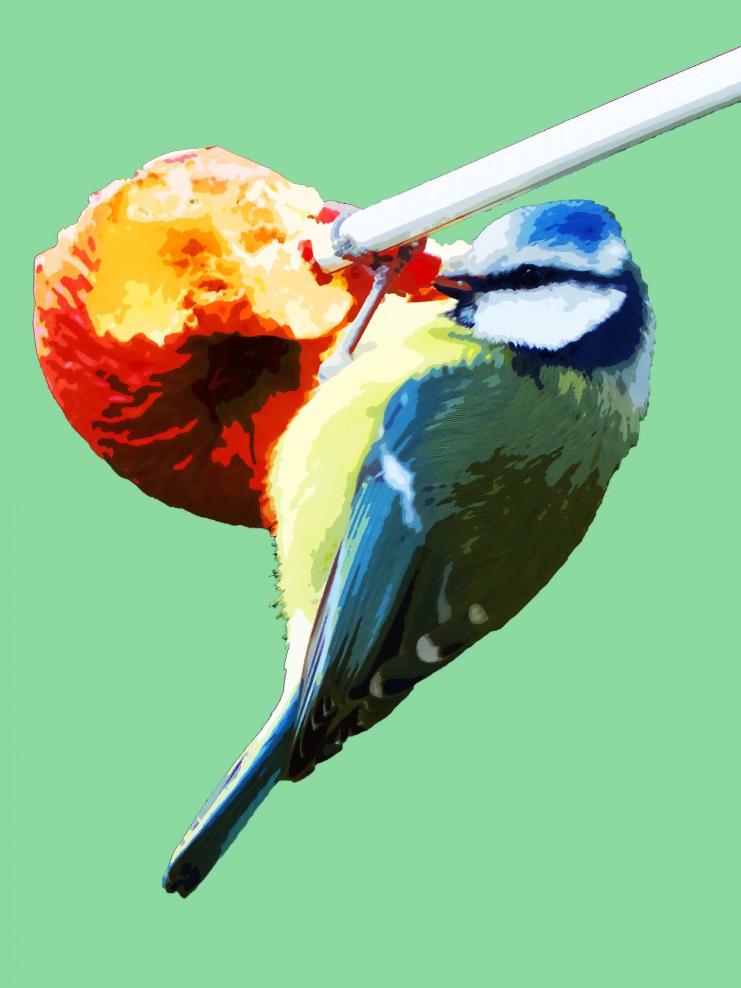 bird blue tit painting free photo