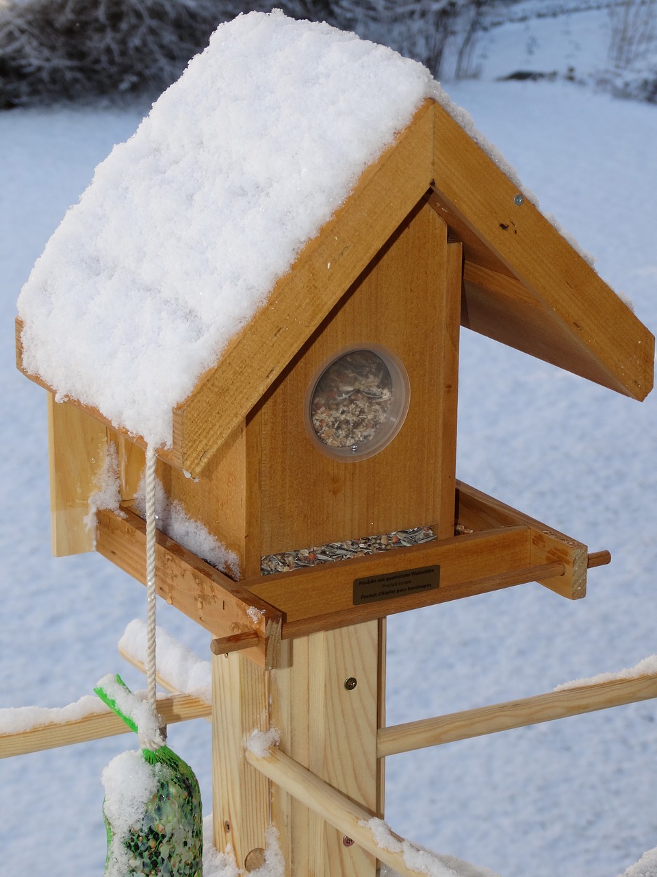 bird seed house bird seed bird food free photo